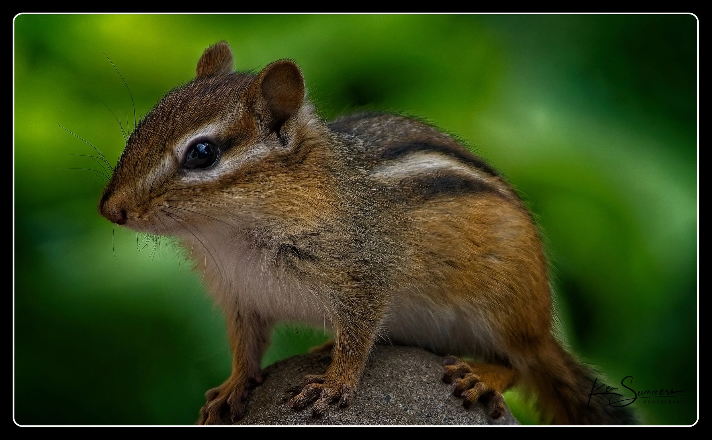 Patio Shots in Sept  002 2023   .jpg