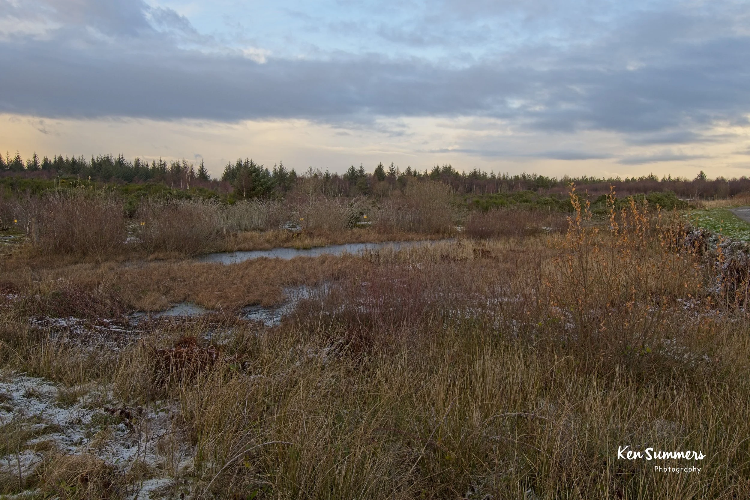 Battle Field at Culloden 2415.jpg