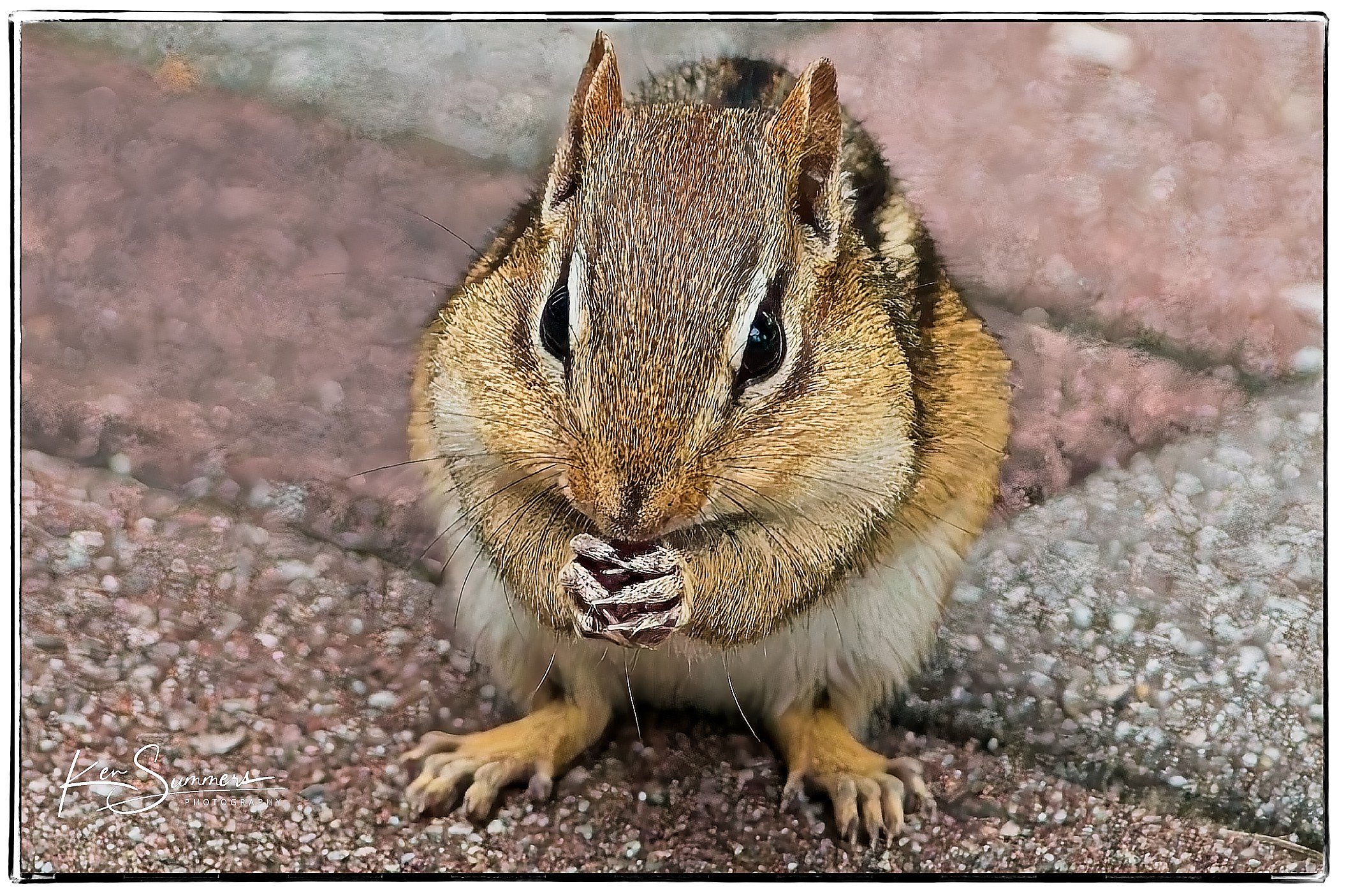 Feeder Life July 31st 0331 Jul, 2024.jpg