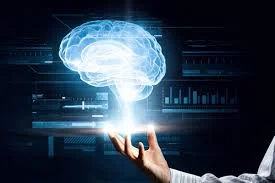 brain 1.jpg
