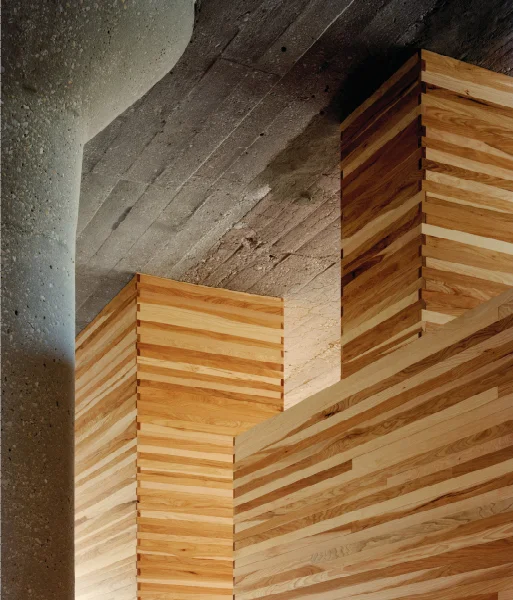 image5.jpg