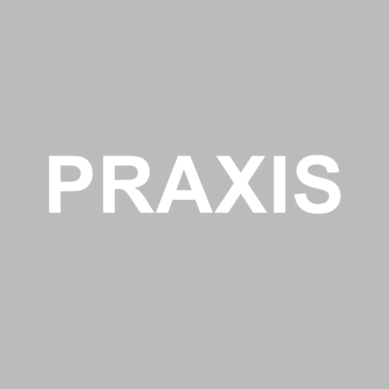 Praxis_fill light-01.jpg