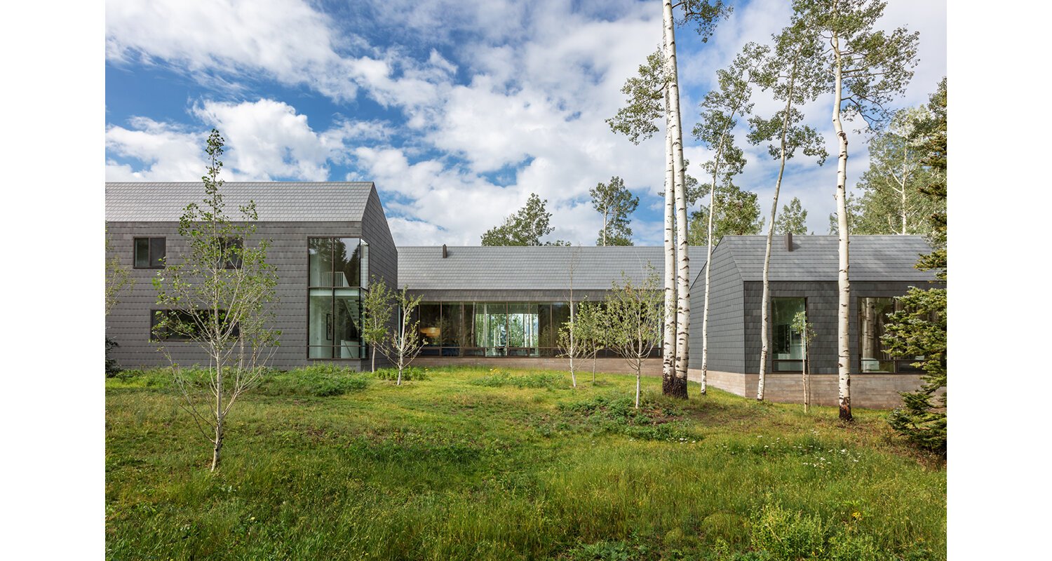 1.+elk+run+residence+architecture+telluride+colorado+mountains+aspen+forest+home.jpg