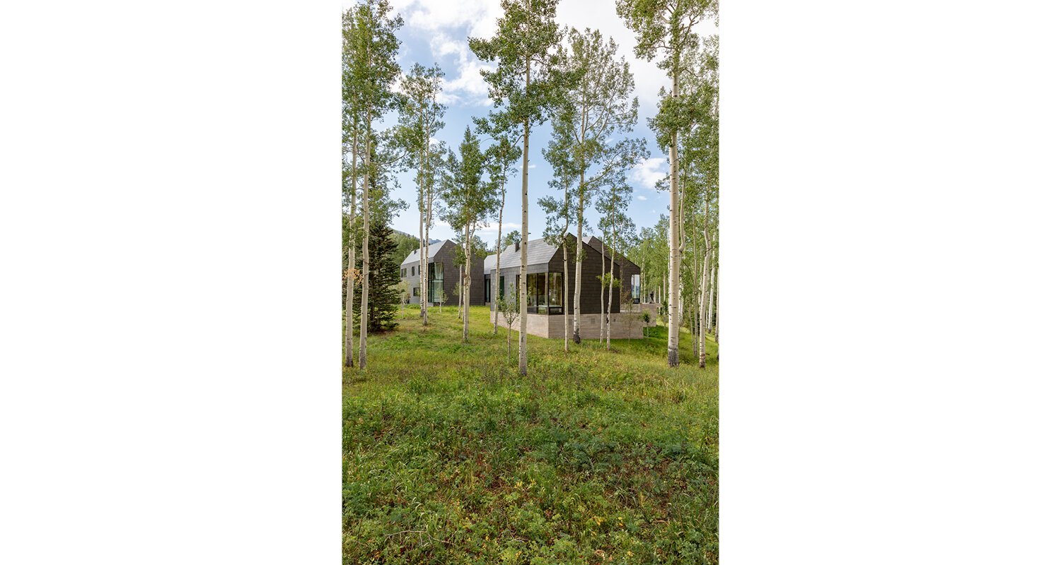 5.+elk+run+residence+architecture+telluride+colorado+mountains+aspen+forest+home.jpg