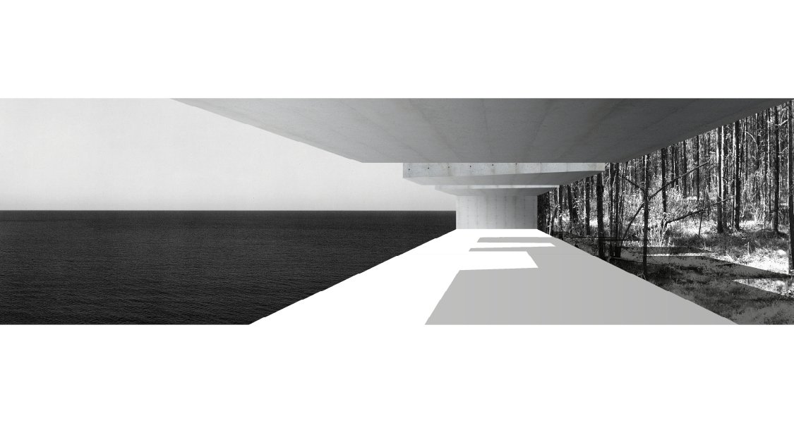 6.+longitudinal+house+michigan+architecture+long+lake+house+vjaa.jpg