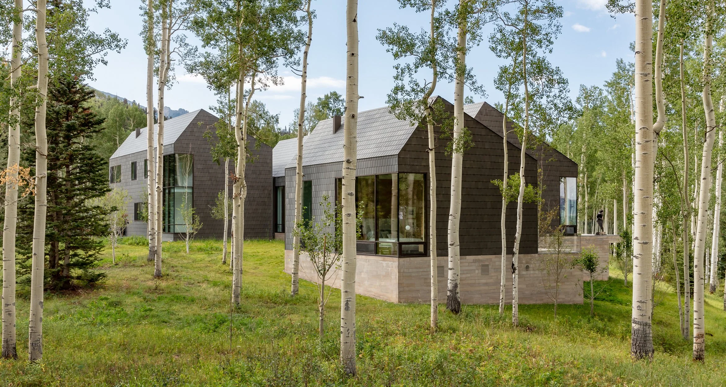 Elk Run Exterior Modern Residential Metal Siding.jpg