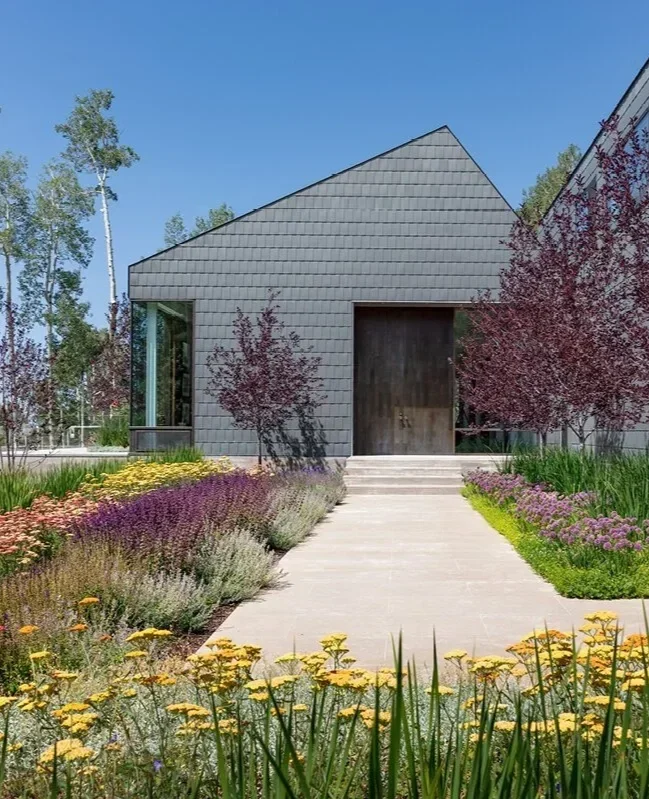 7.+elk+run+residence+architecture+telluride+colorado+mountains+aspen+forest+home.jpg.webp