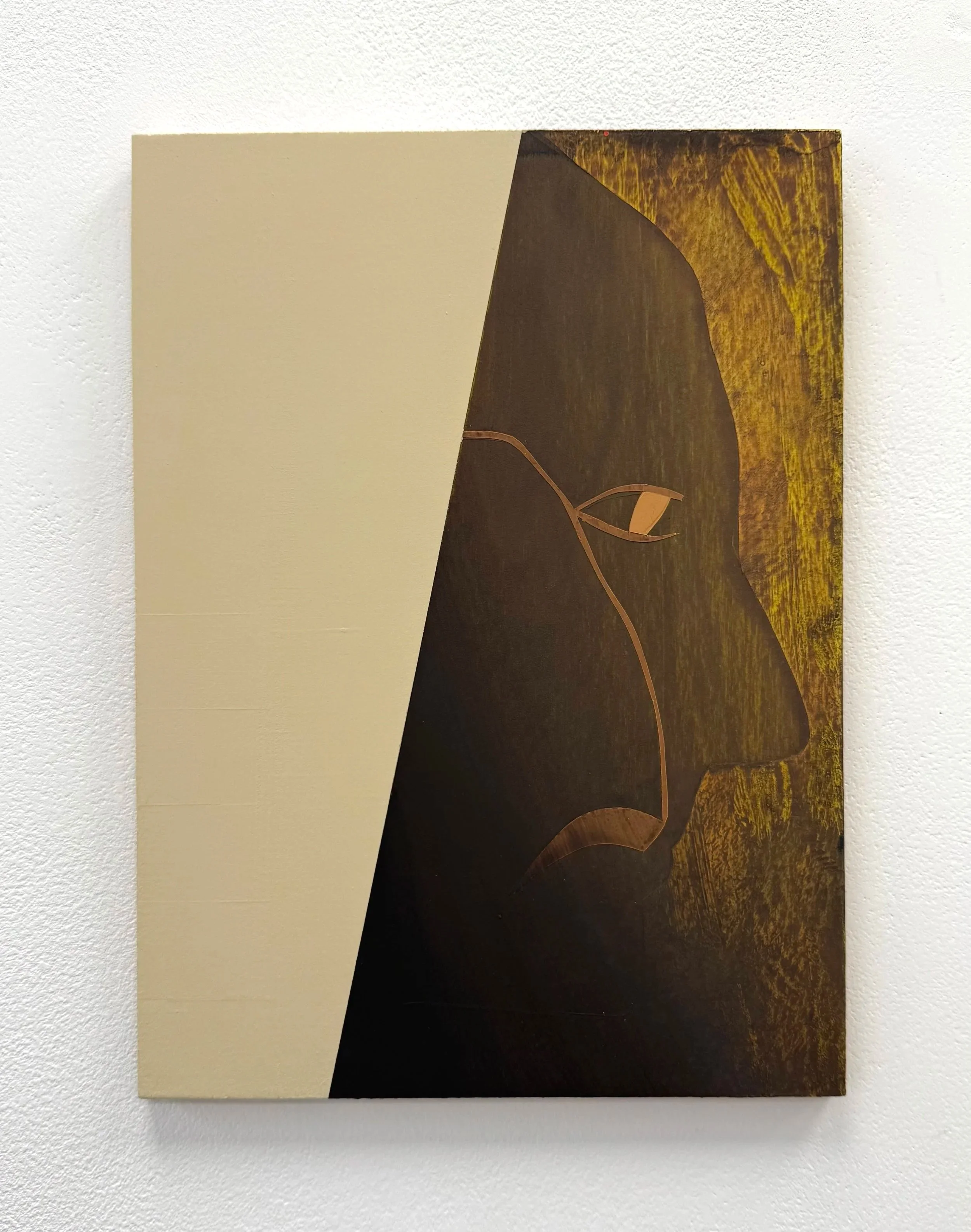 Shadow Line (after M. Duchamp)