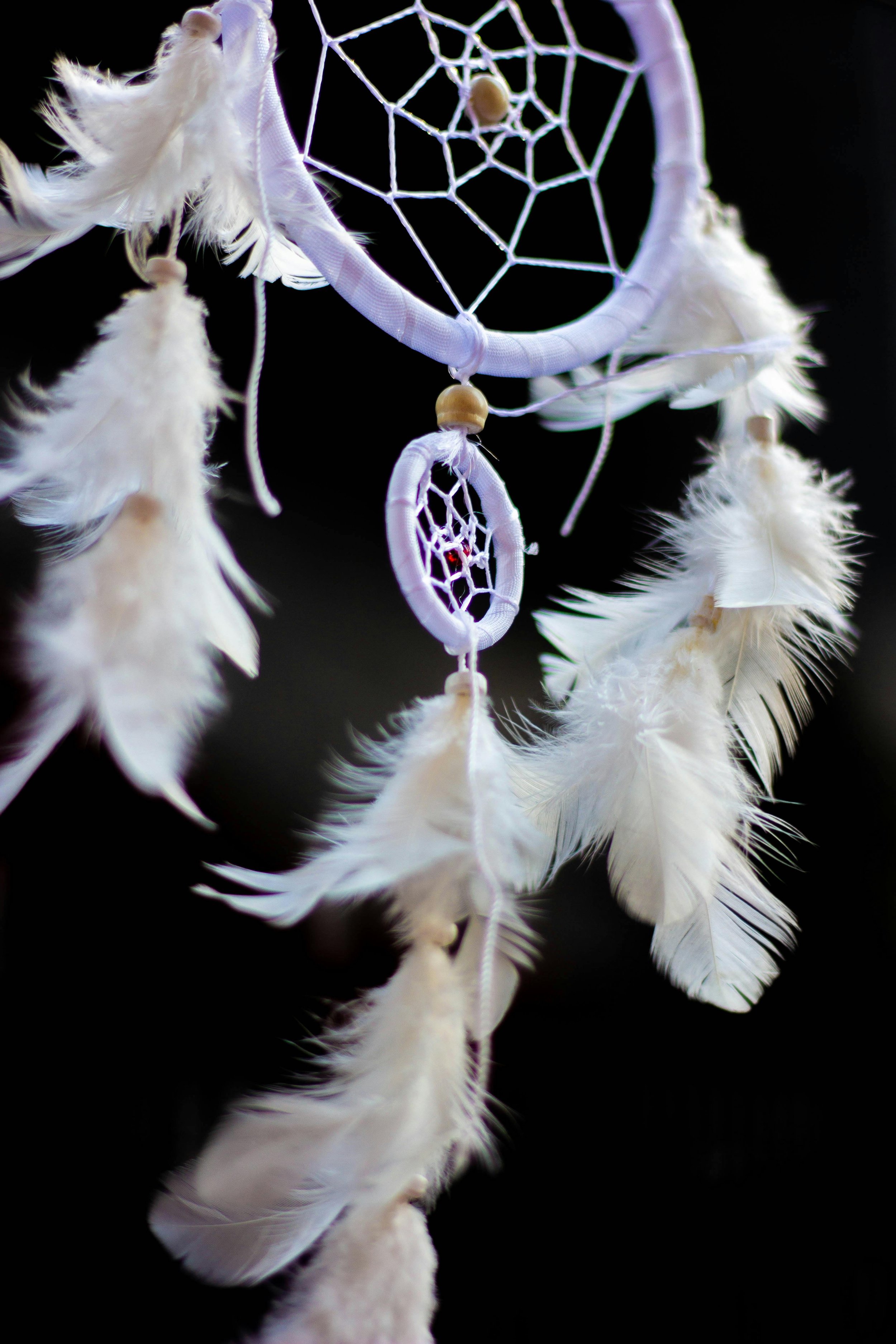 Primal Cycles: The Seasonal Eating Framework