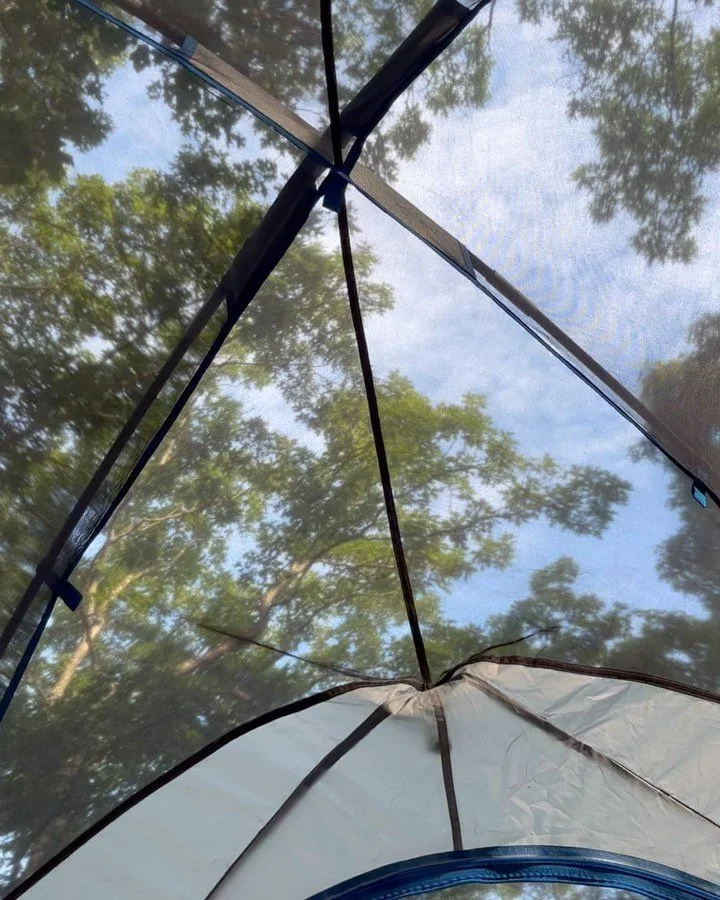 Summer so far ✨🌿⛺️