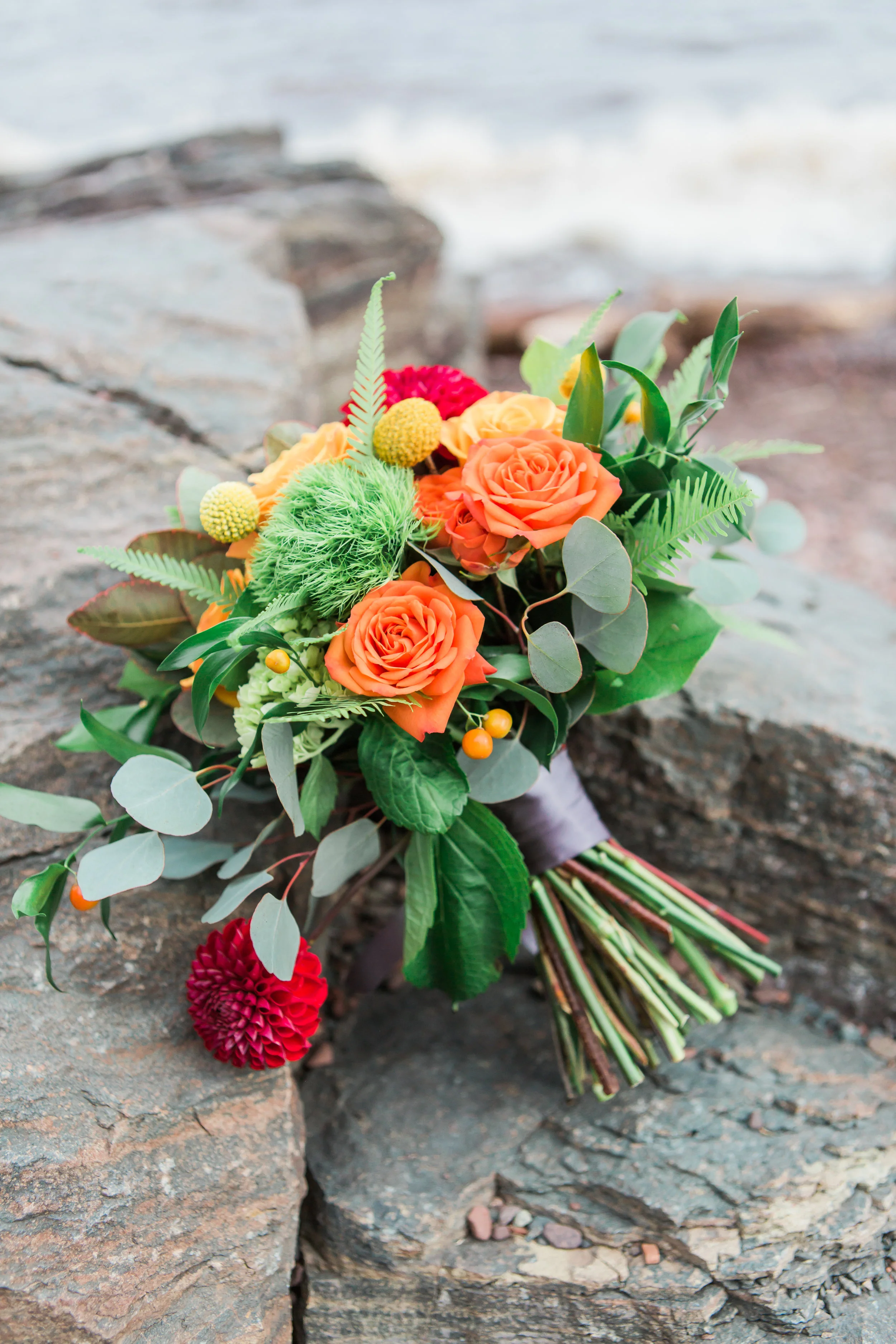 websiteimages-61.jpg