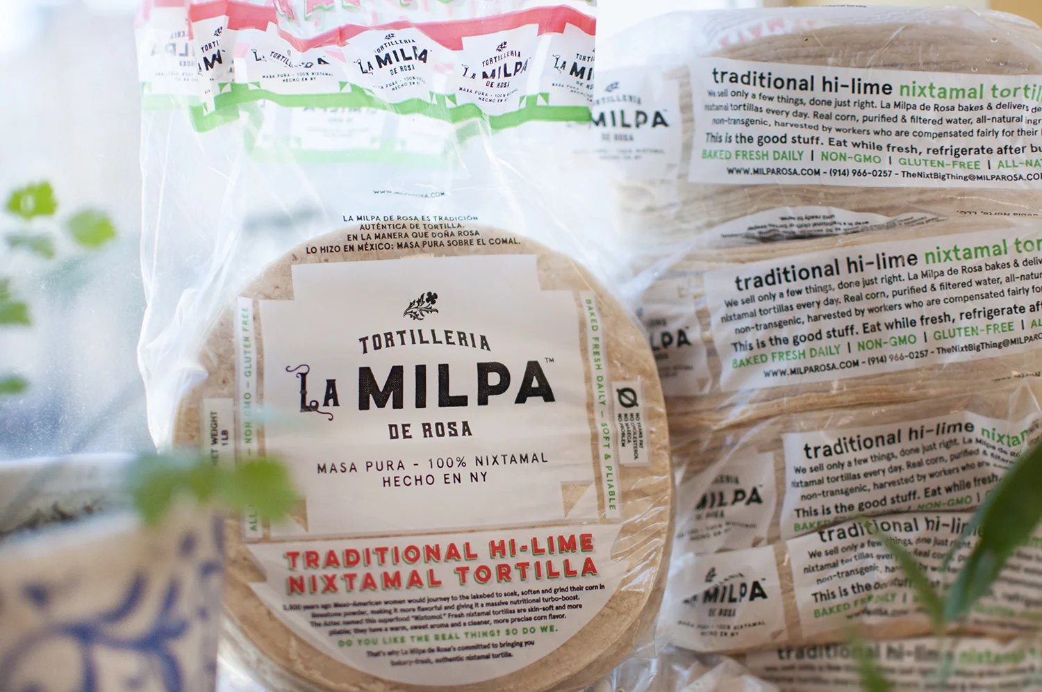 Nixtamal Tortilla Masa Pura de Nixtamal (White Corn Tortillas) — Nixtamal Tortilleria La Milpa