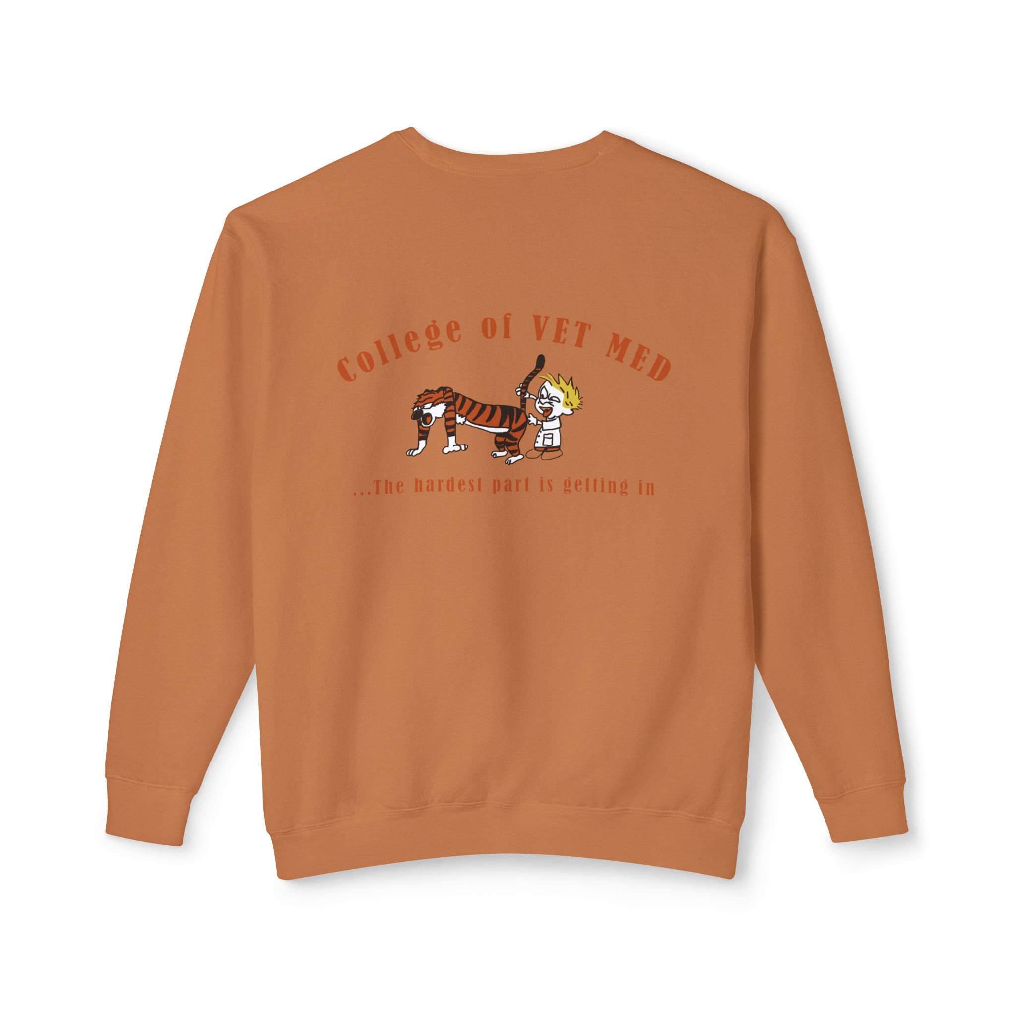 1c6c34e8873543ca2ae205ddf91a74b4