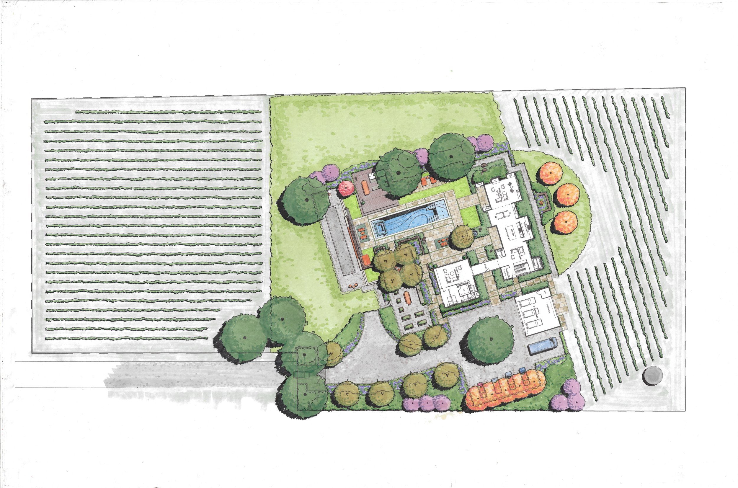 Vineyard Estates Lot 15-Colored Concept.jpg