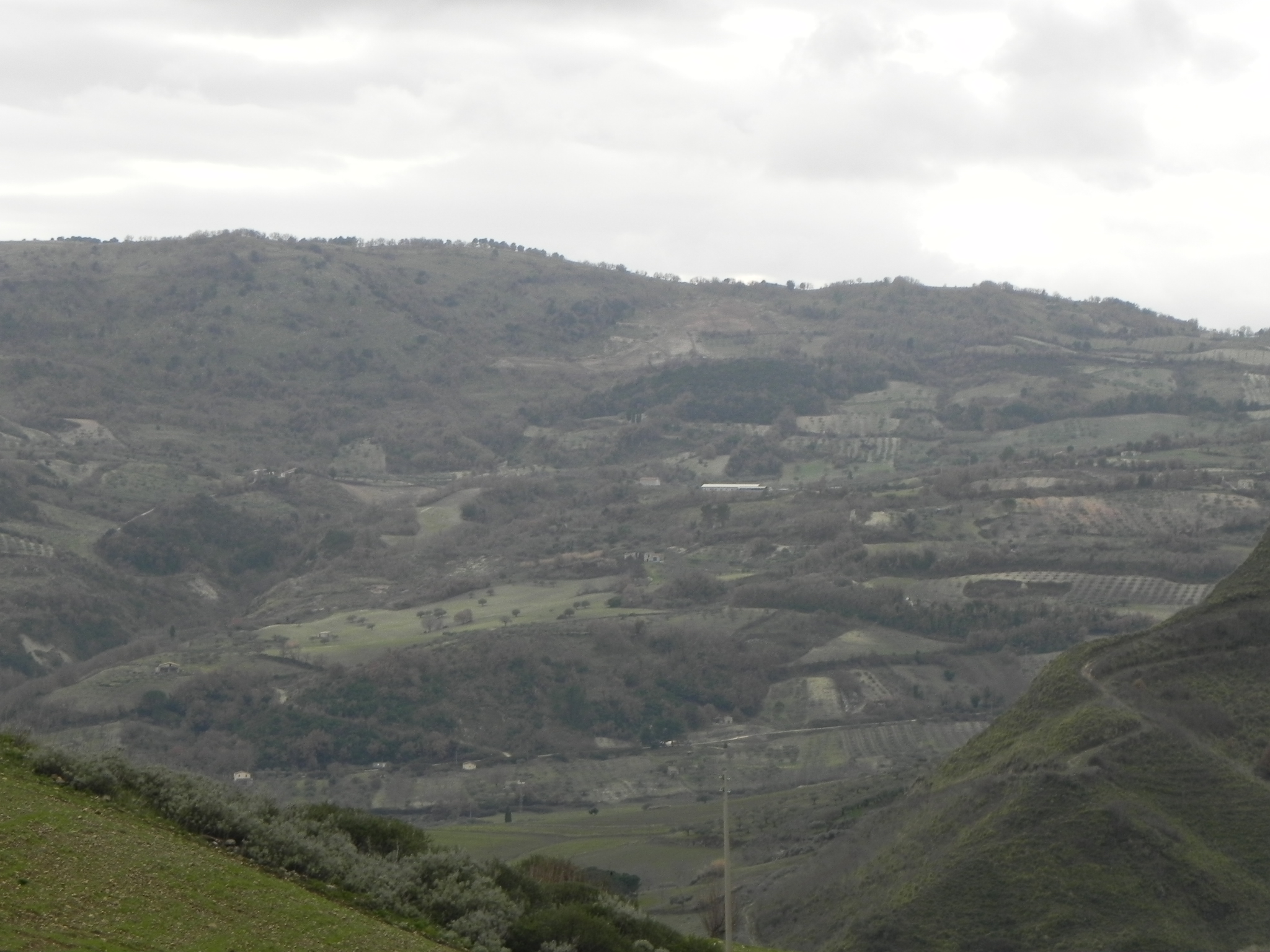 DSCN6246.JPG