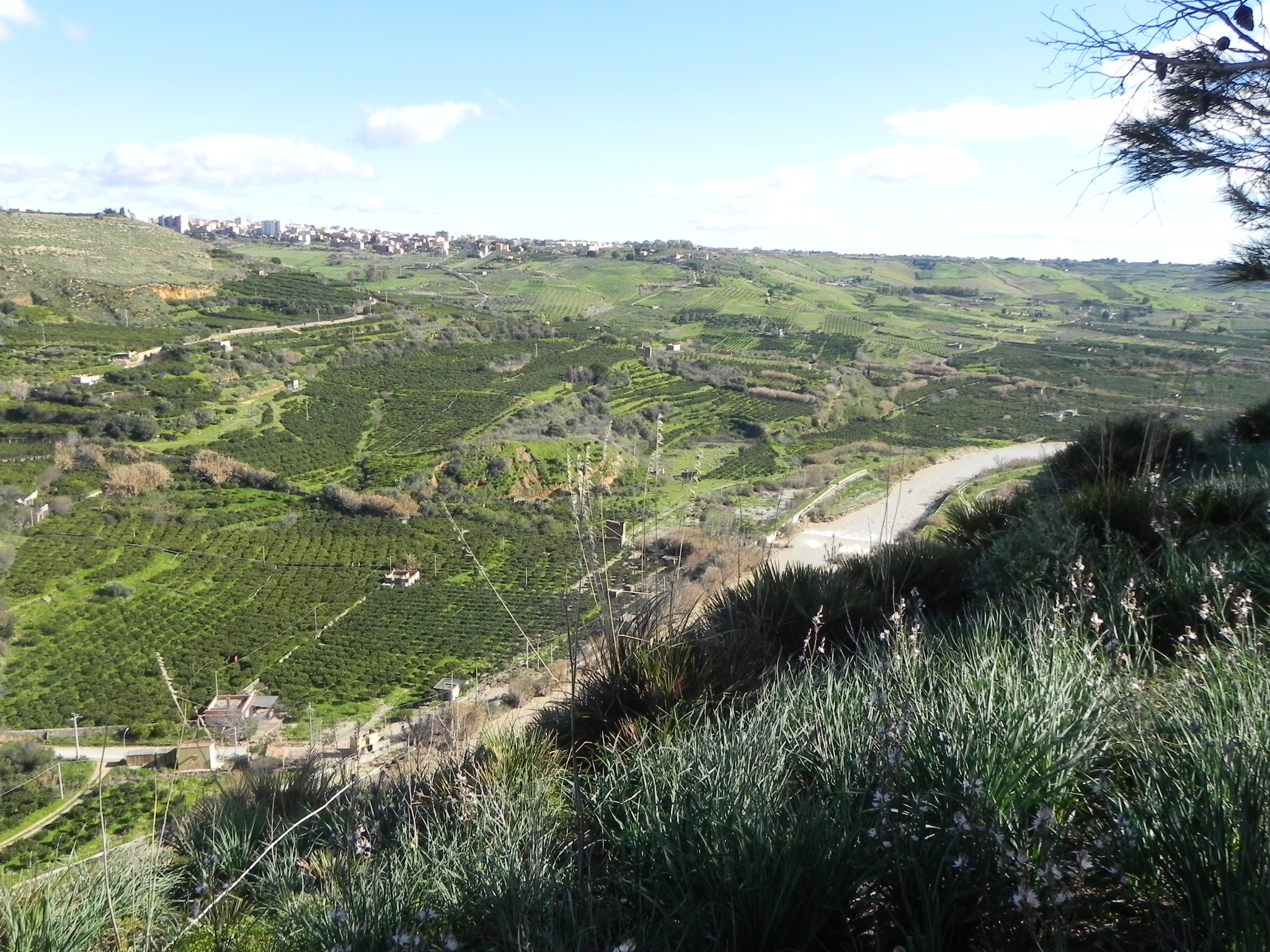  Verdura River 
