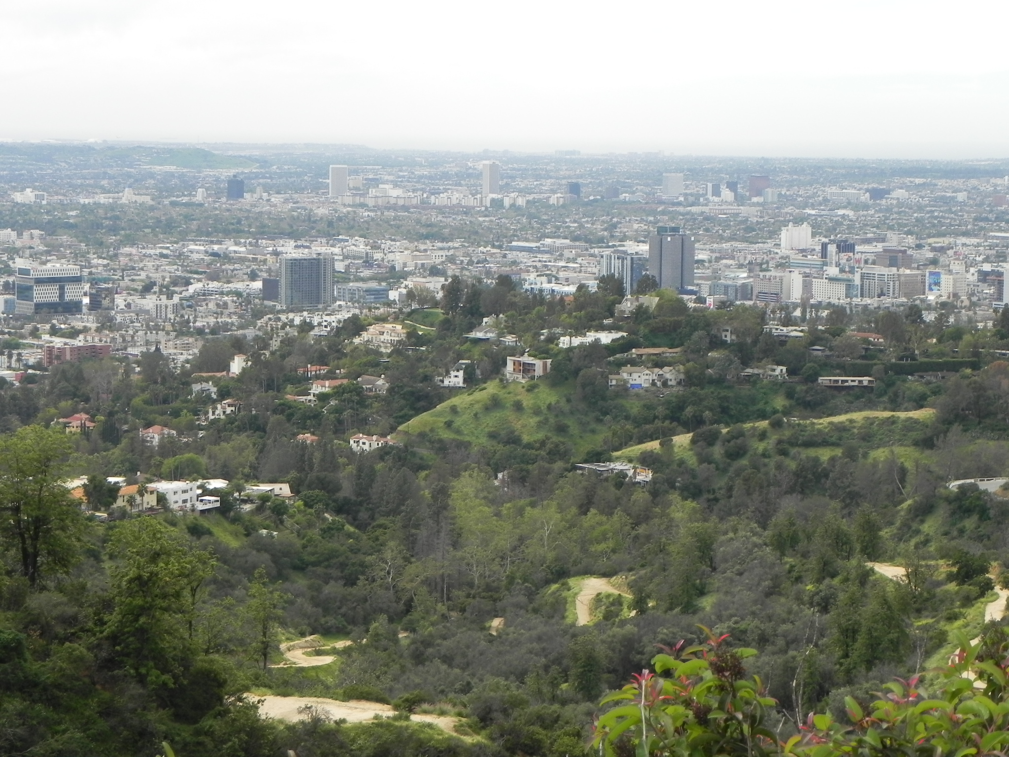 DSCN6487.JPG