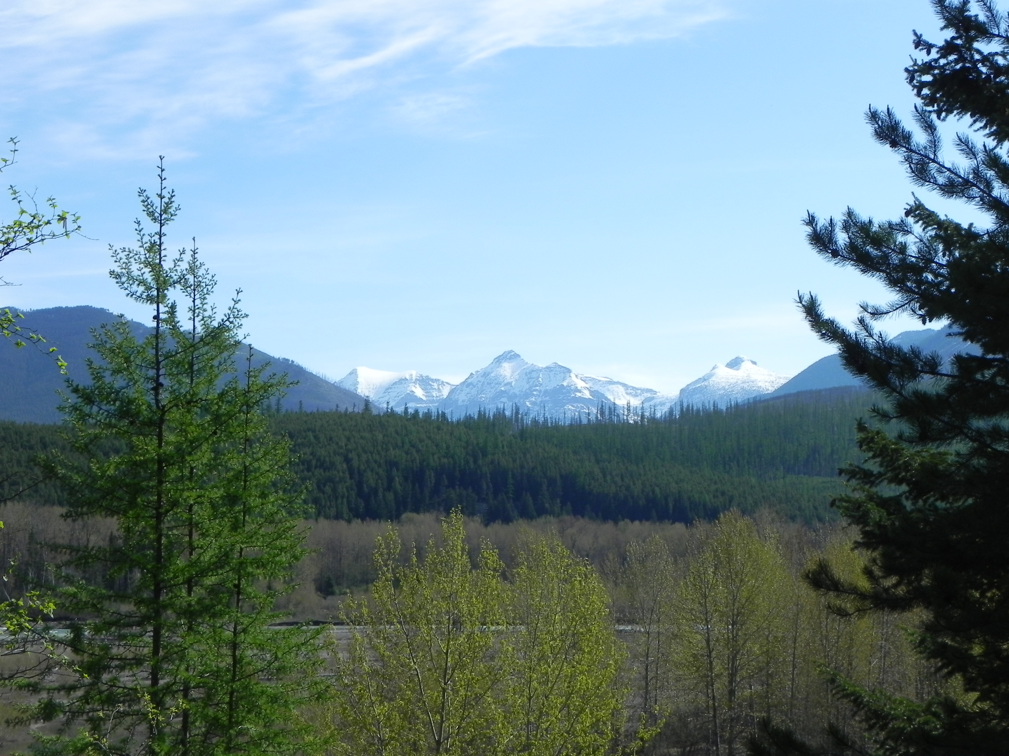DSCN6719.JPG