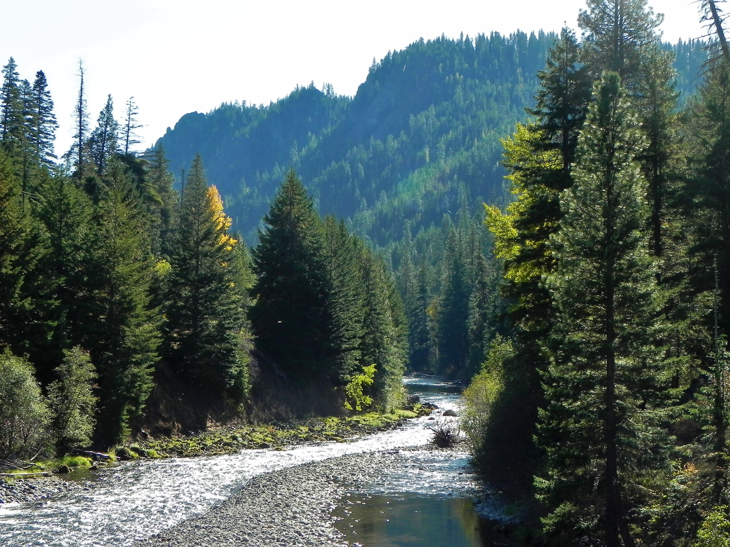 DSCN7185.JPG