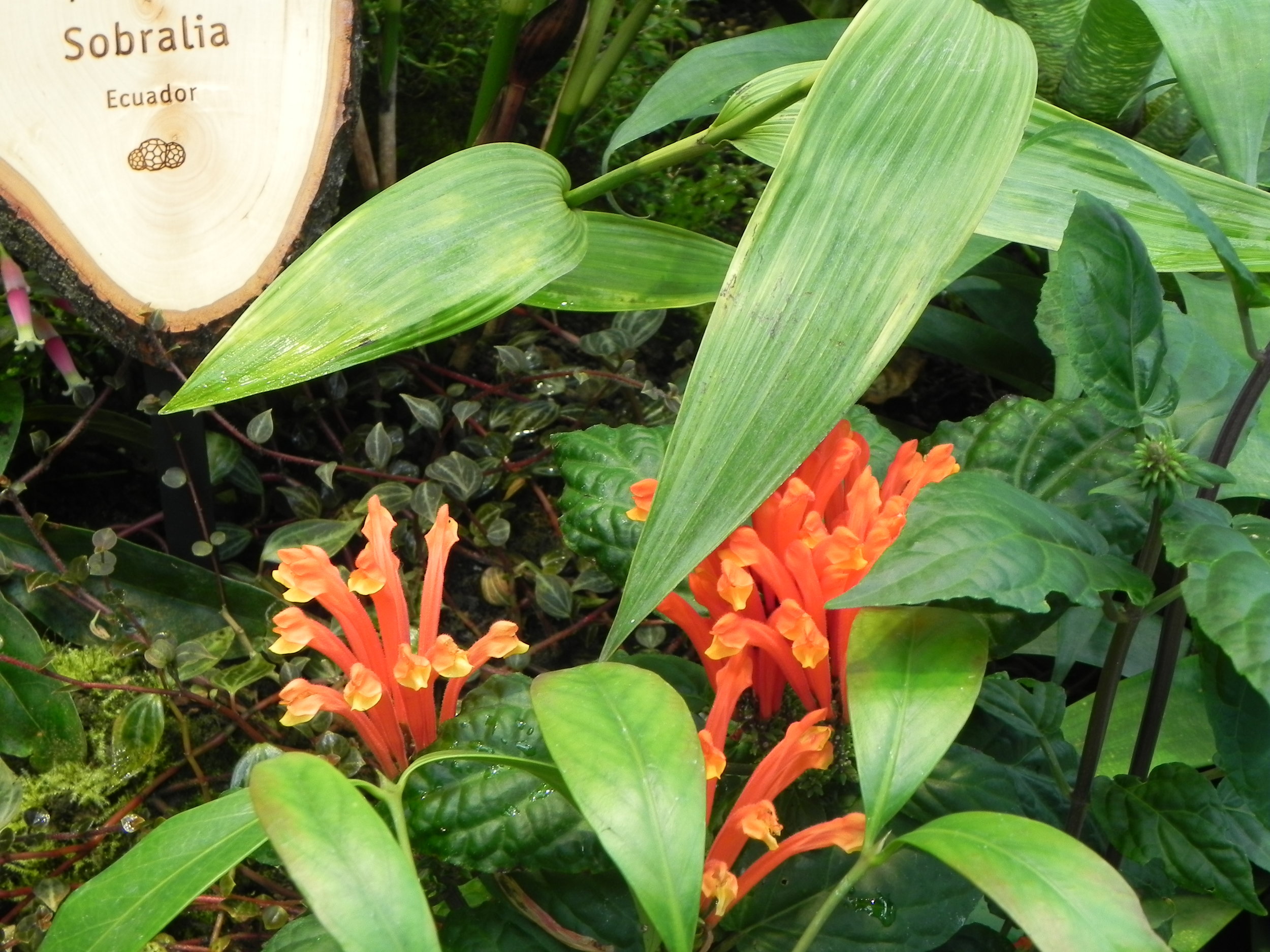 DSCN7391.JPG