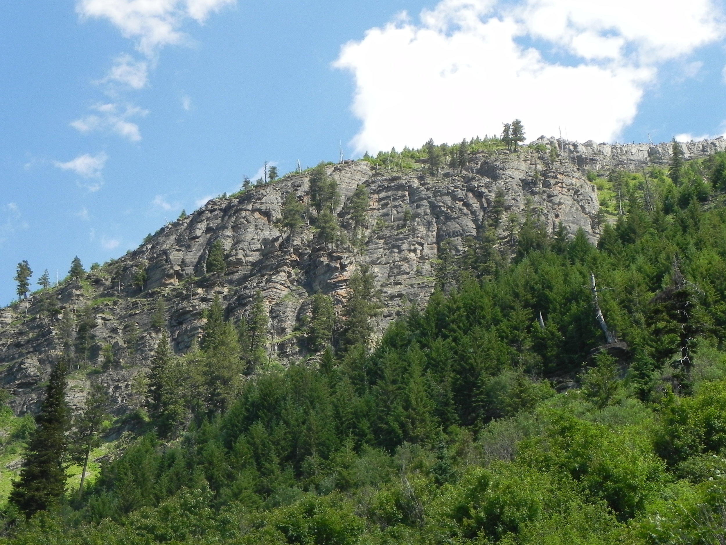 DSCN7738.JPG