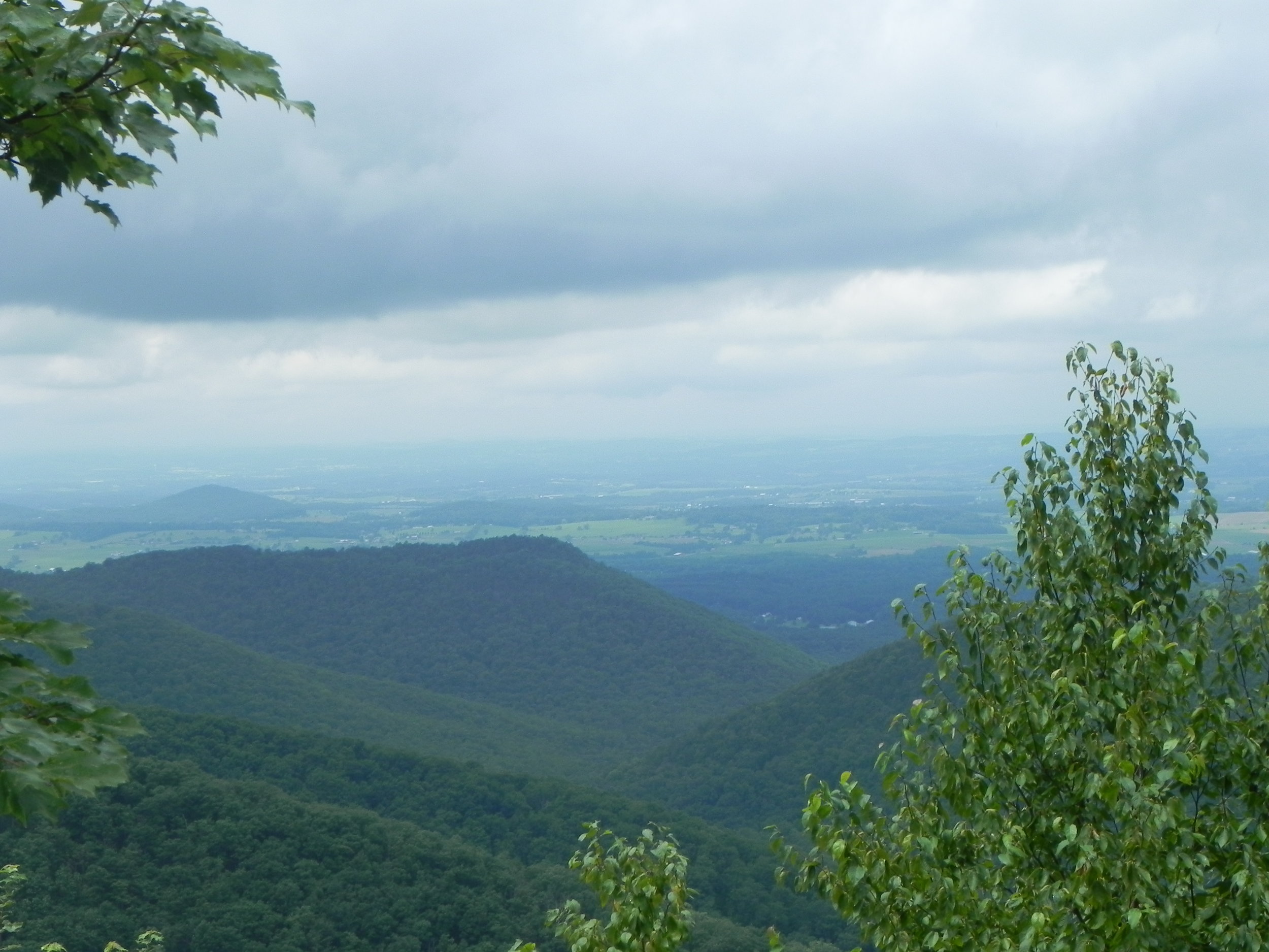 DSCN7872.JPG