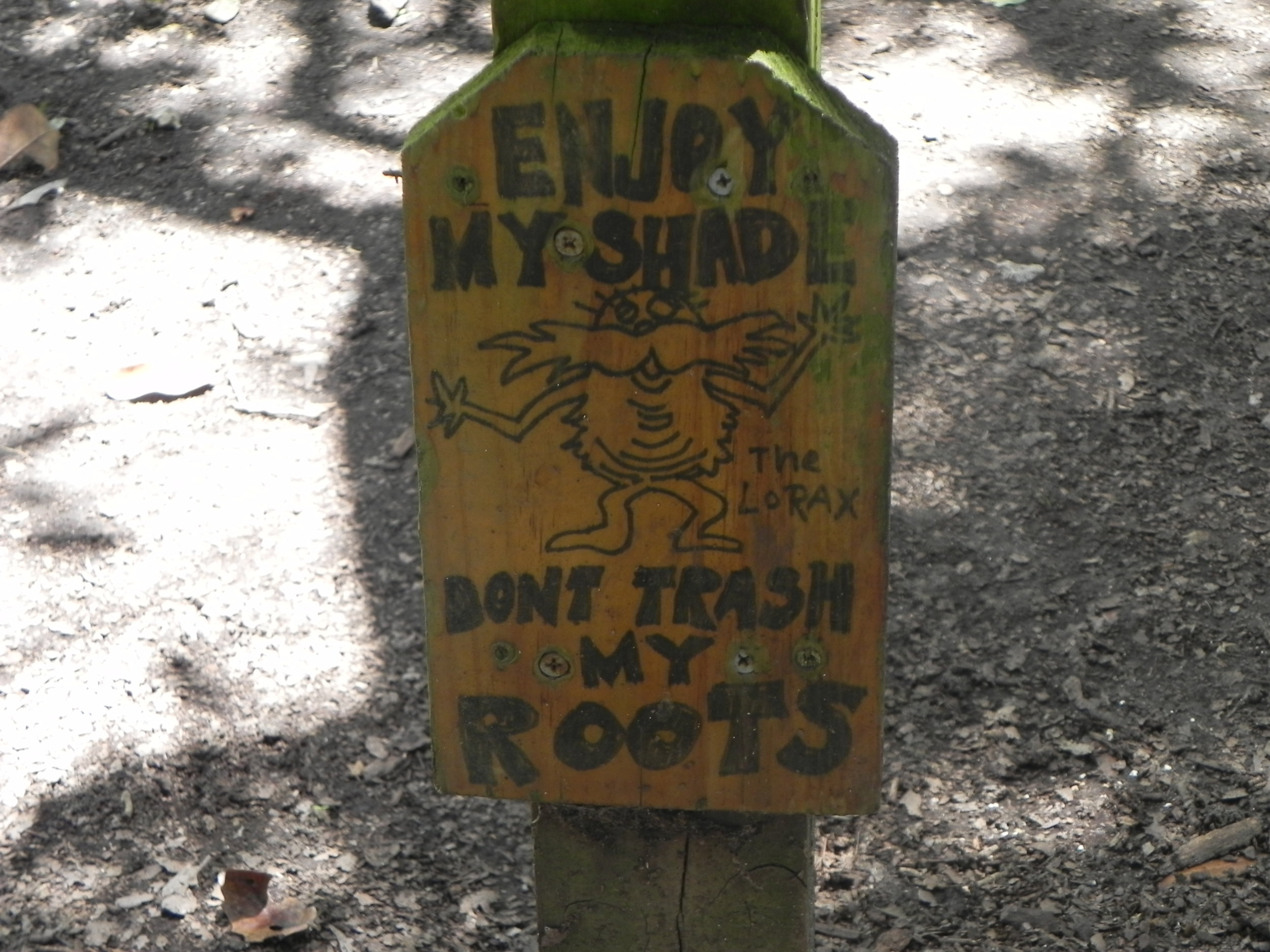 DSCN8140.JPG