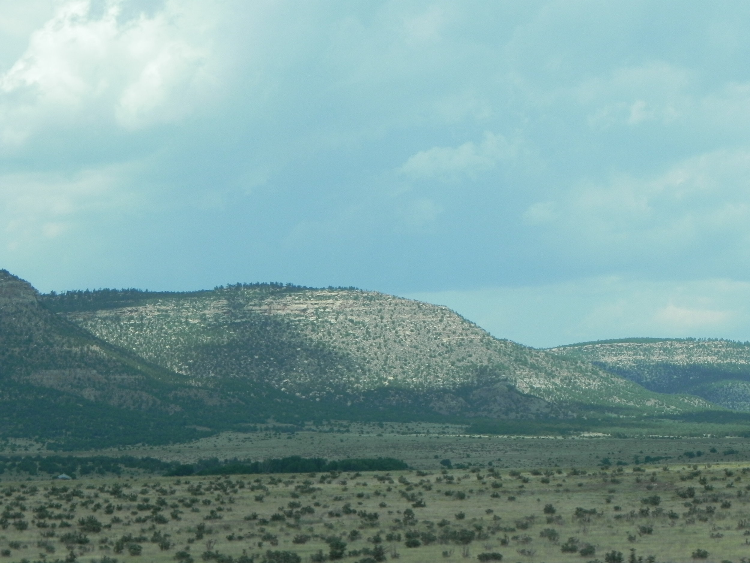  As you near Cimarron you see the mountains start. 