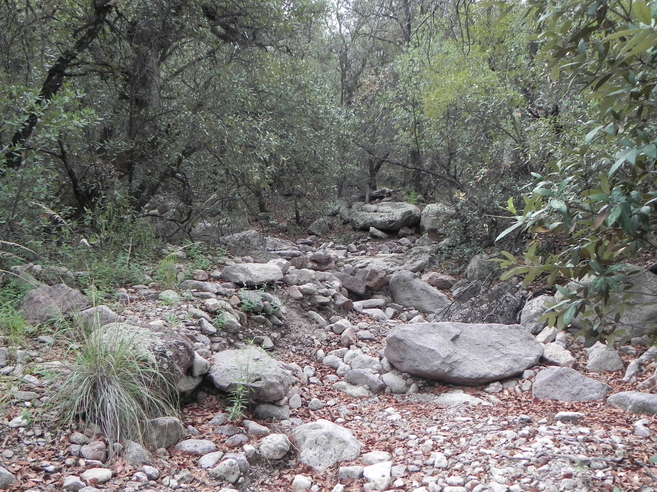 DSCN8358.JPG