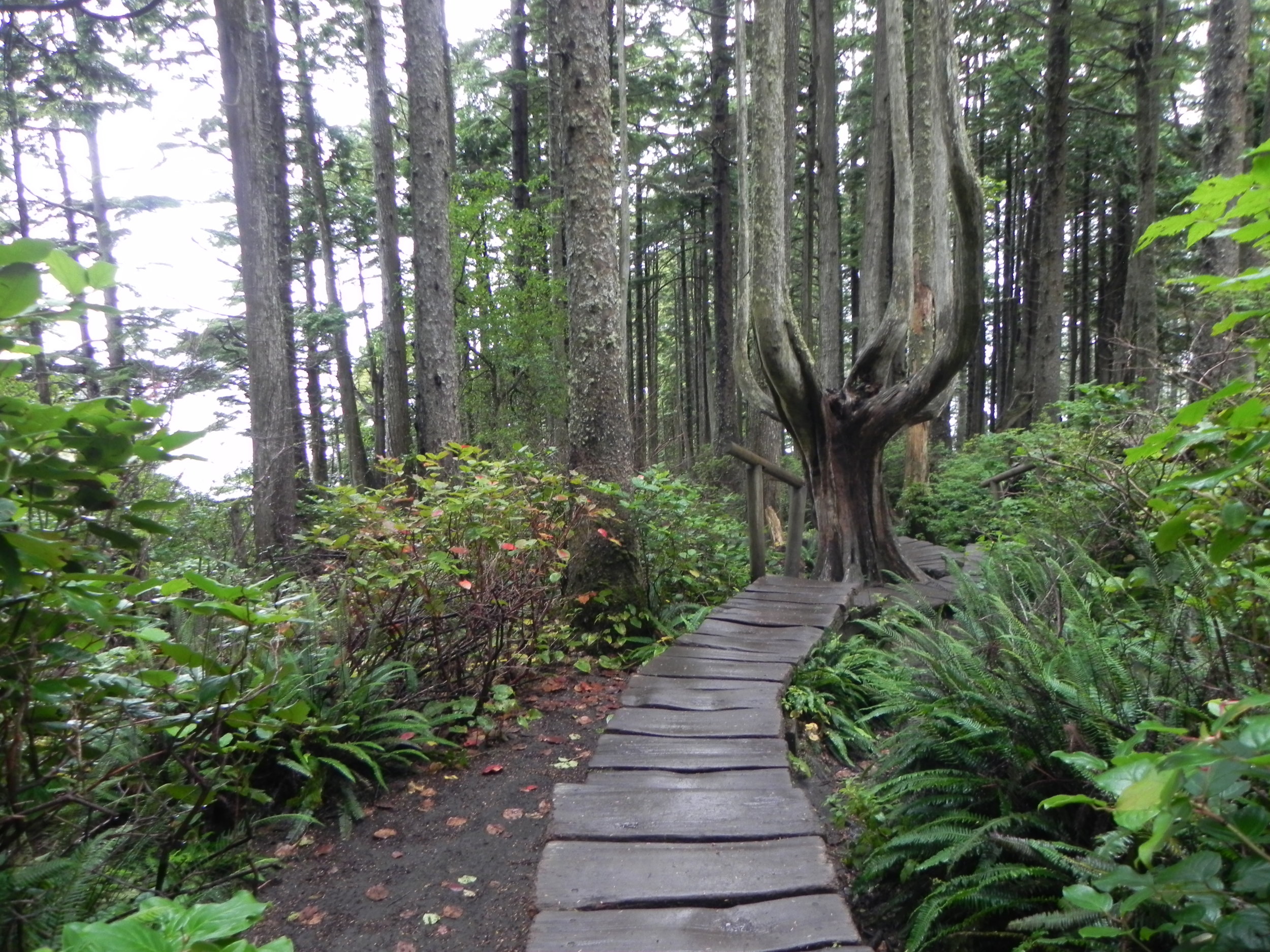 DSCN8457.JPG