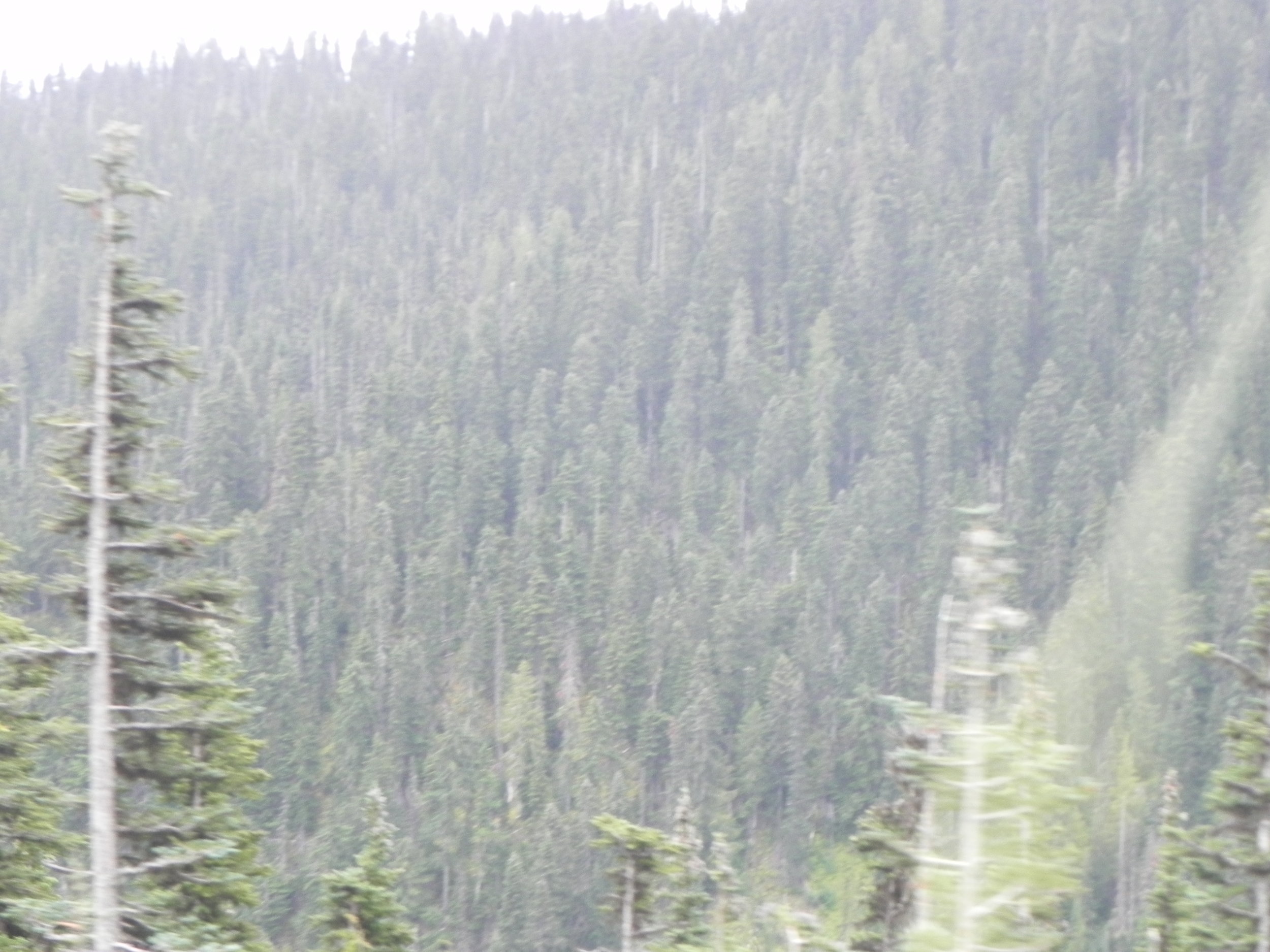 DSCN8490.JPG
