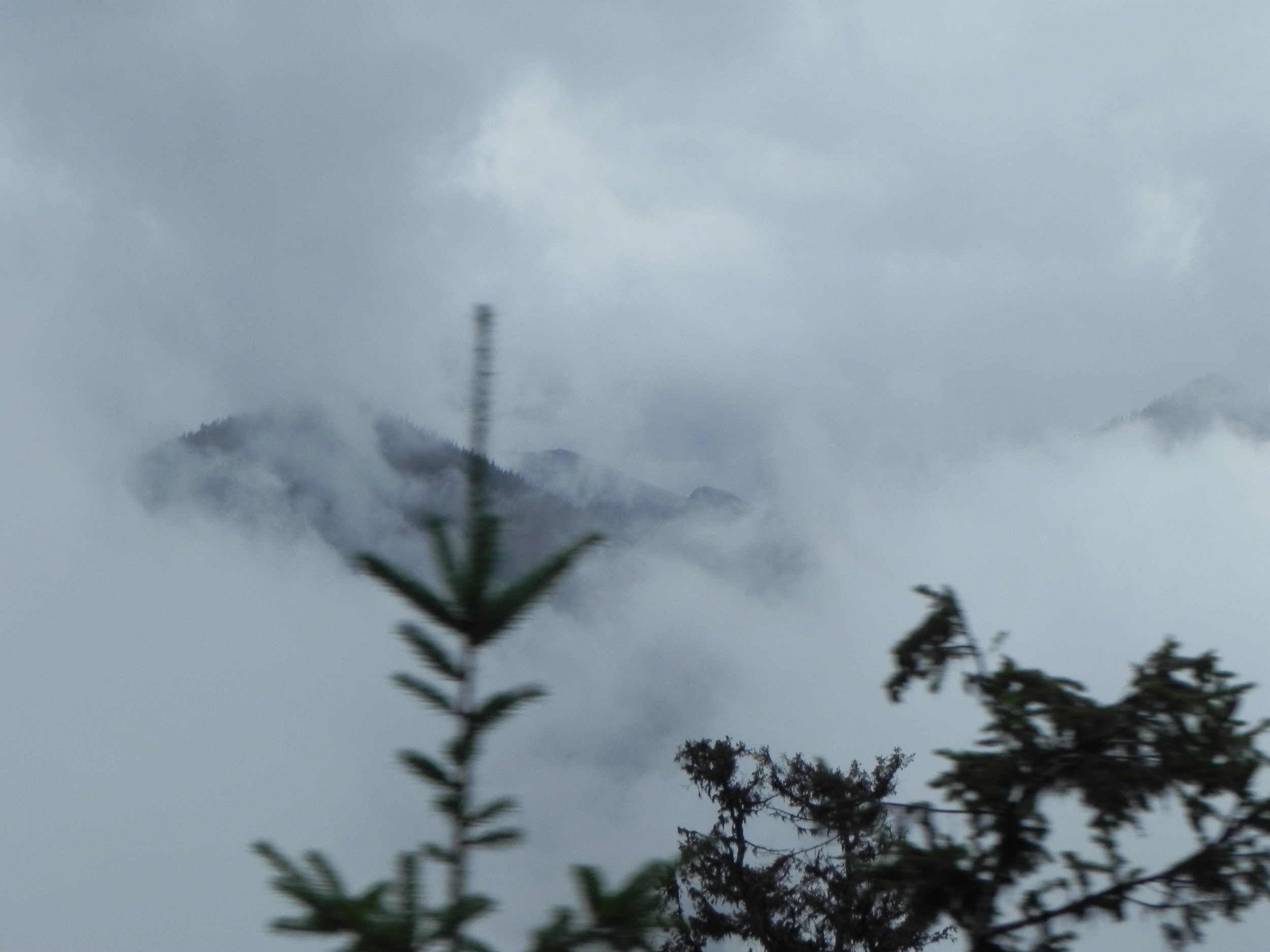 DSCN8504.JPG