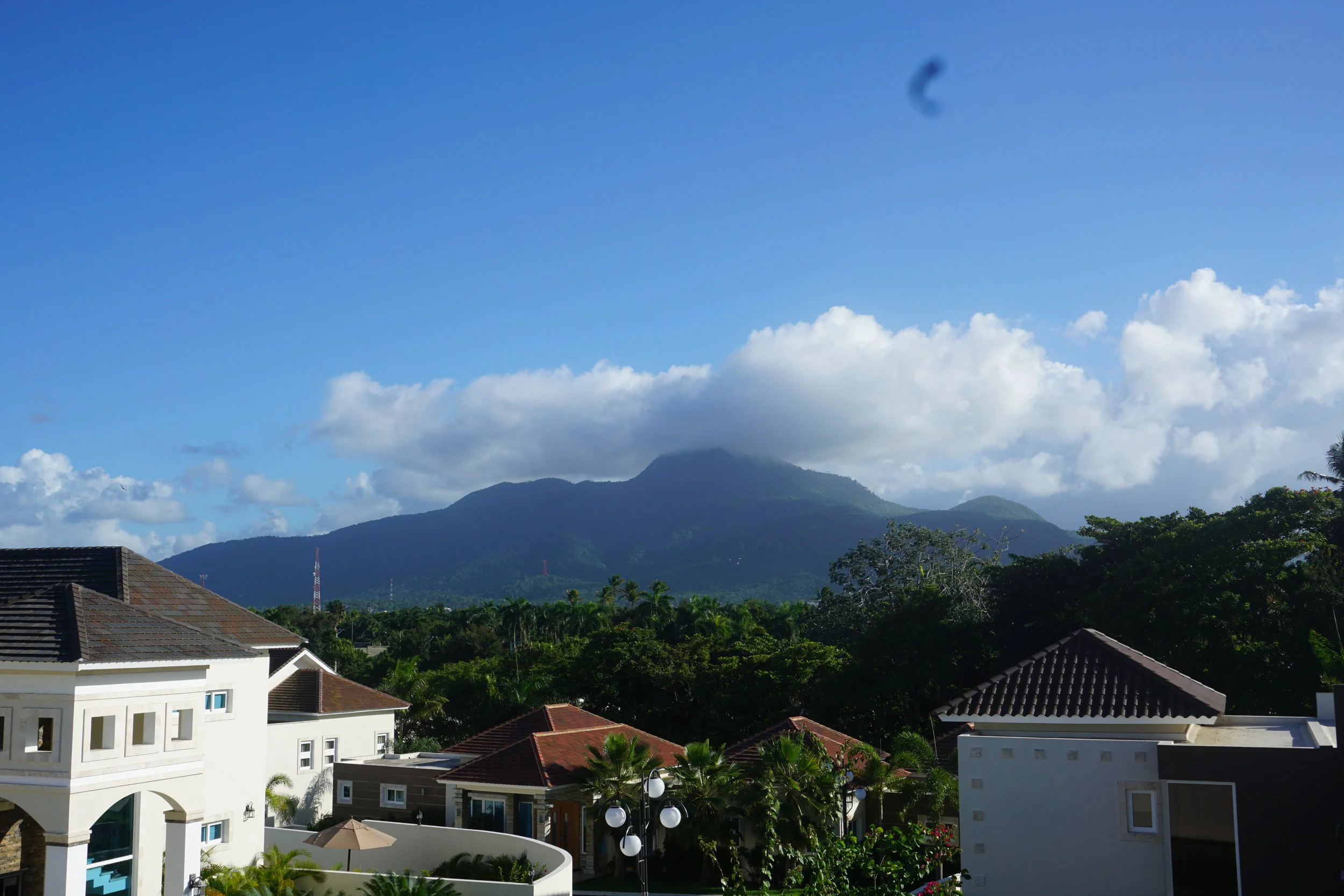 DSC00107.JPG