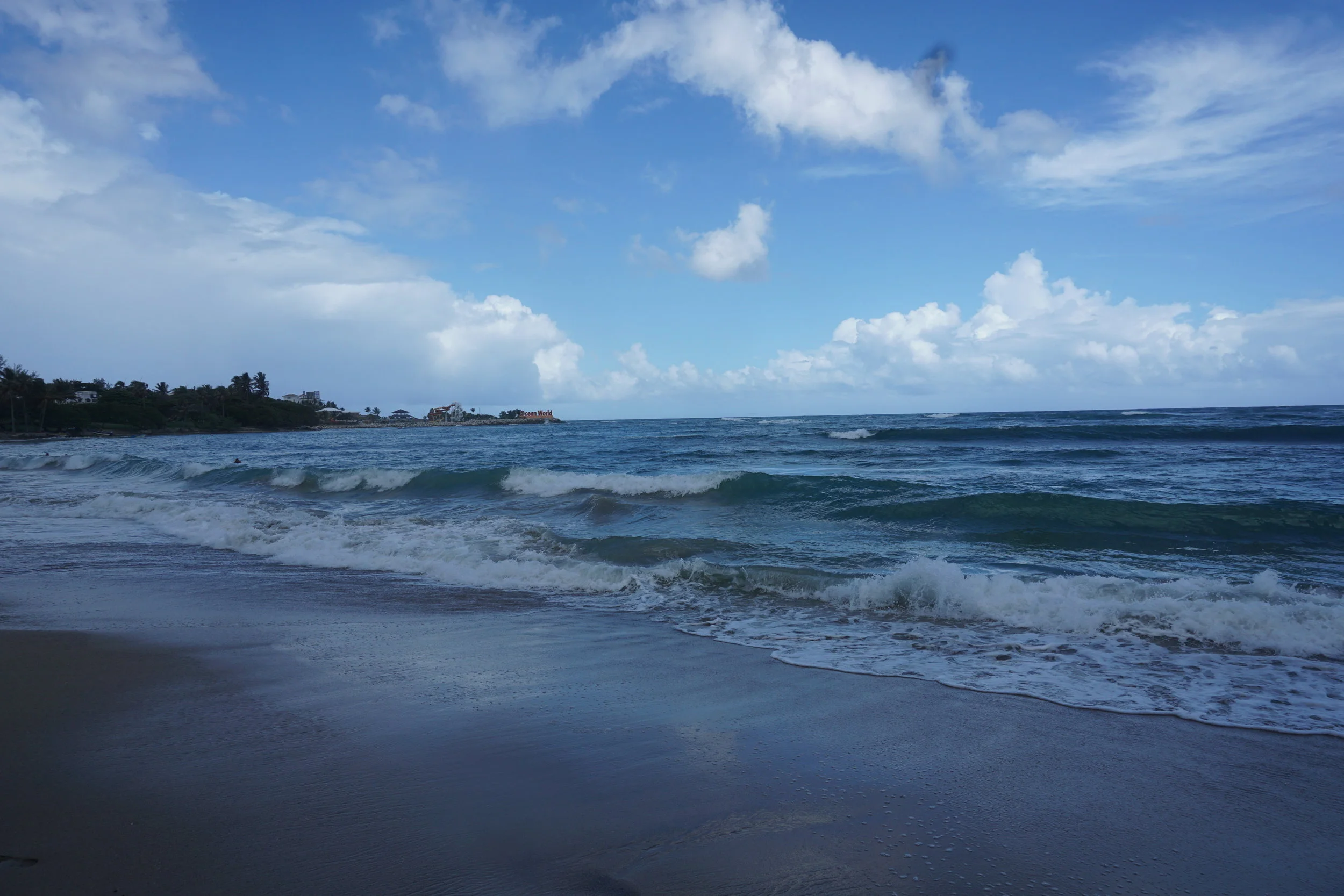 DSC00125.JPG