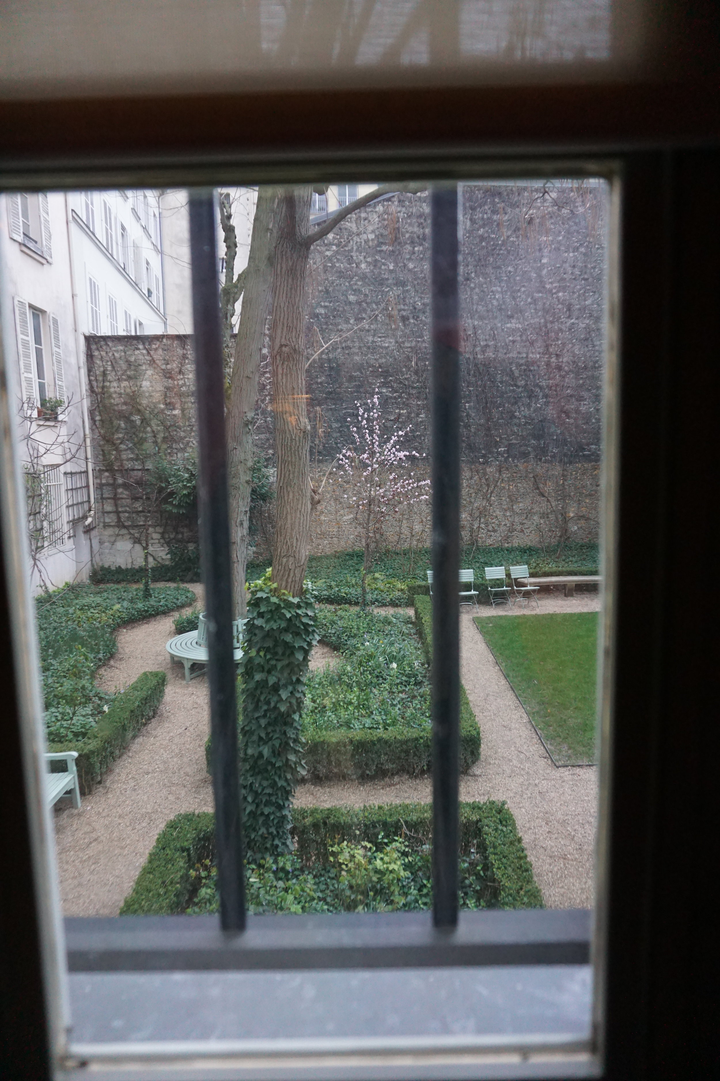  The garden from the studio window 