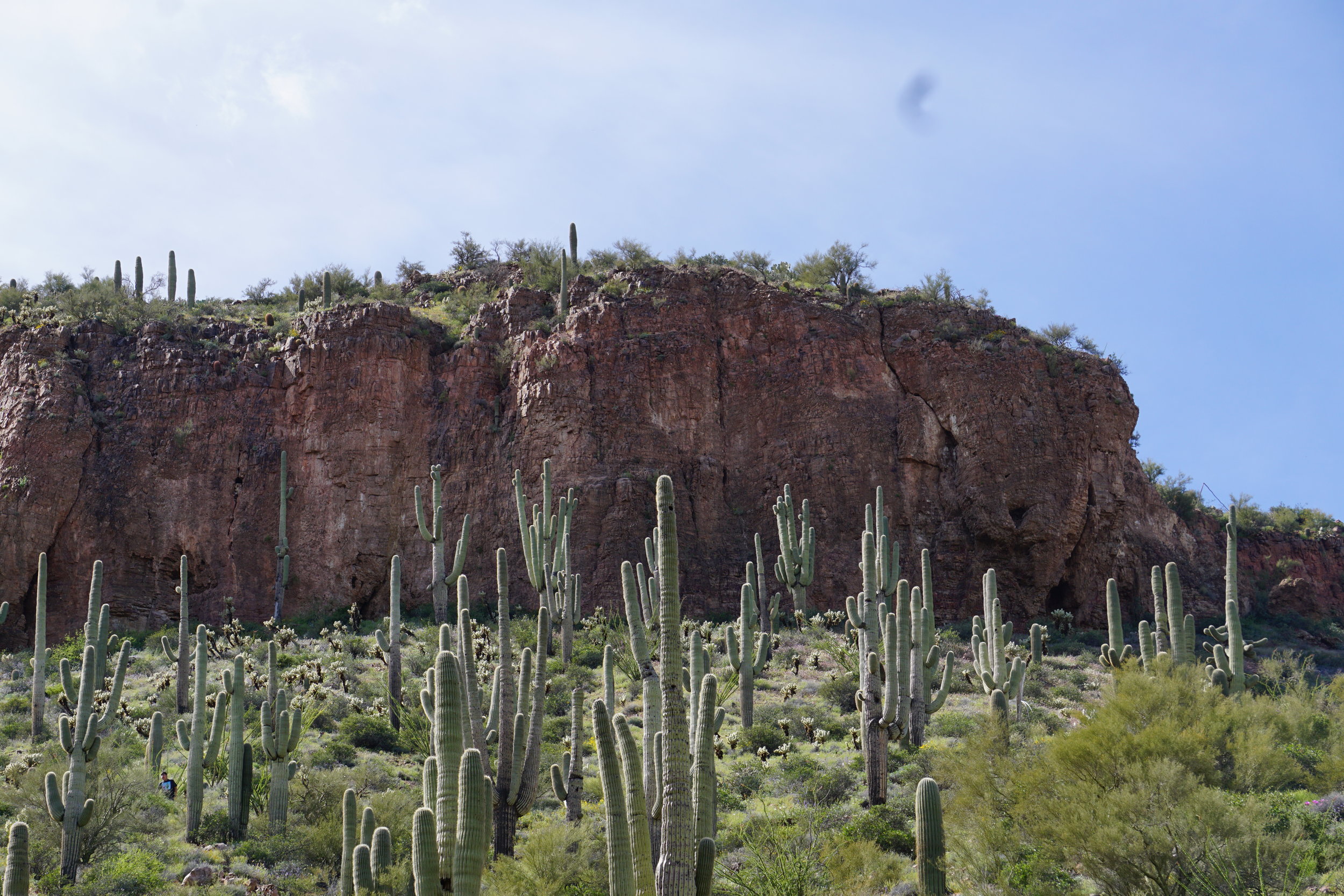  The larger dwelling is near the top of this ridge 