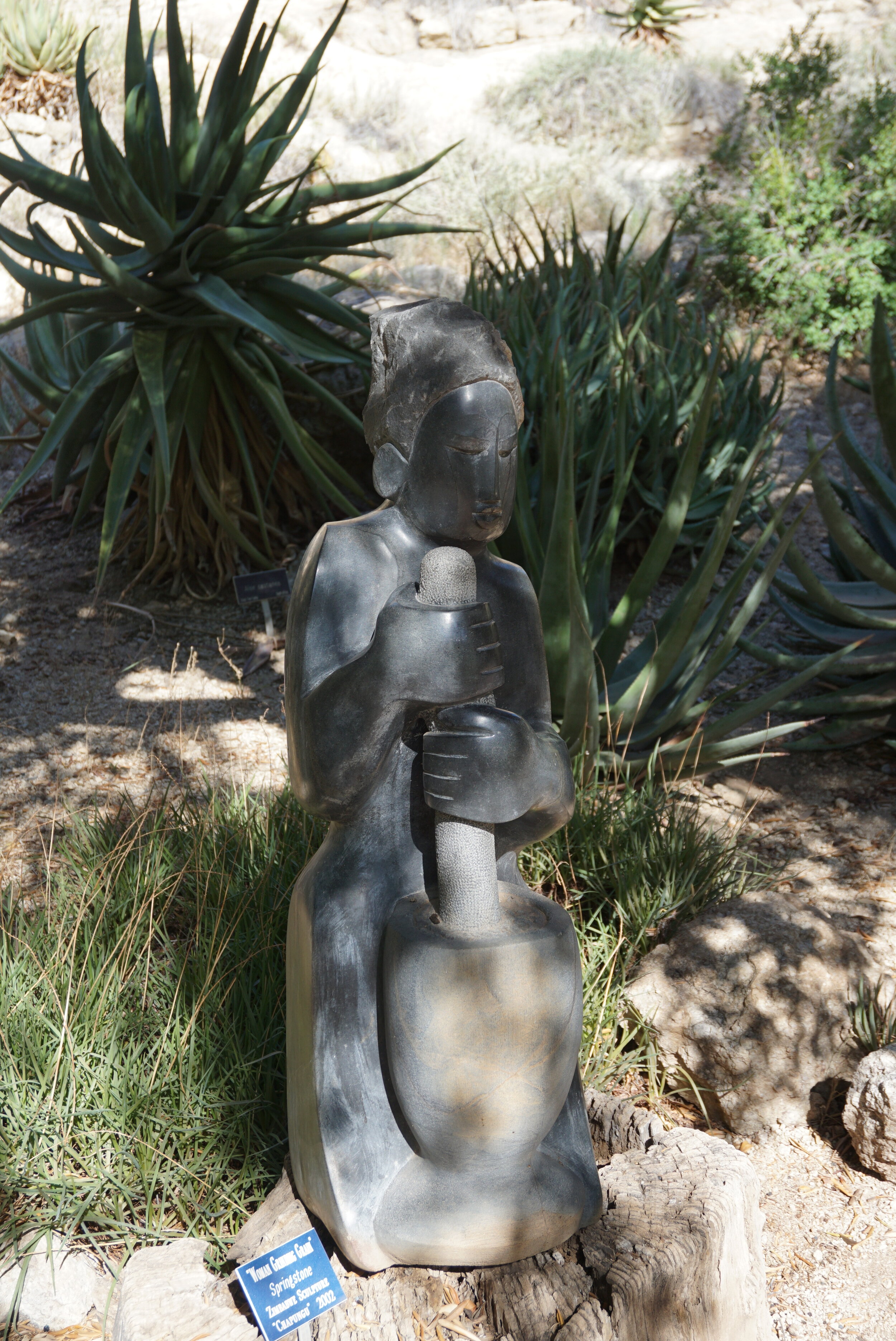 DSC02800.JPG