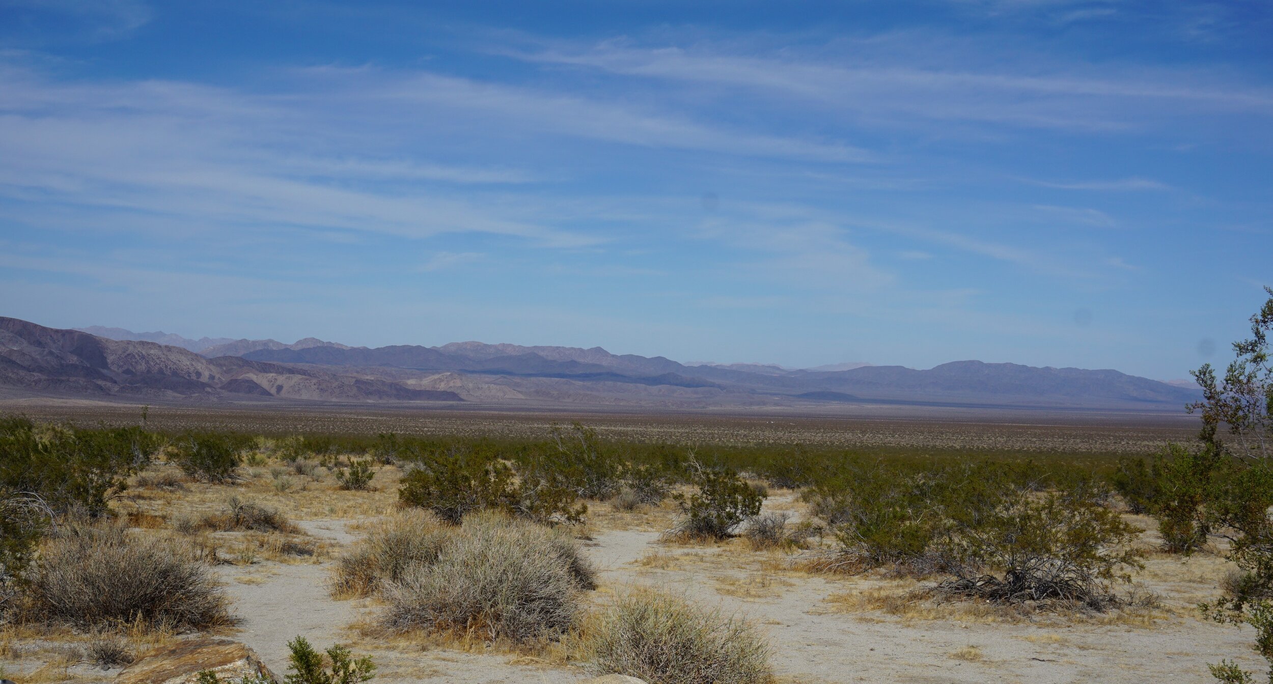 DSC02874.JPG