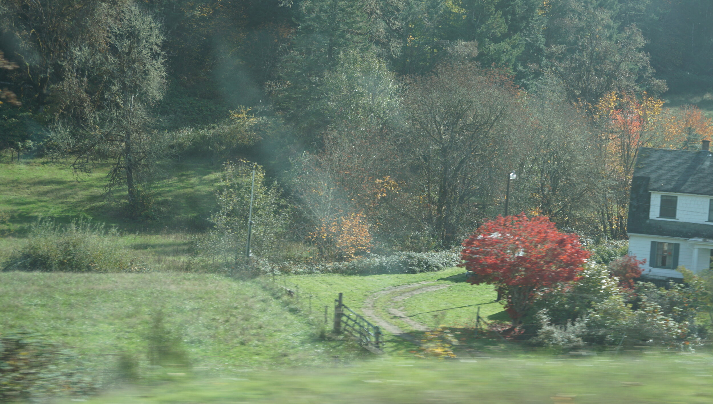 DSC03187.JPG