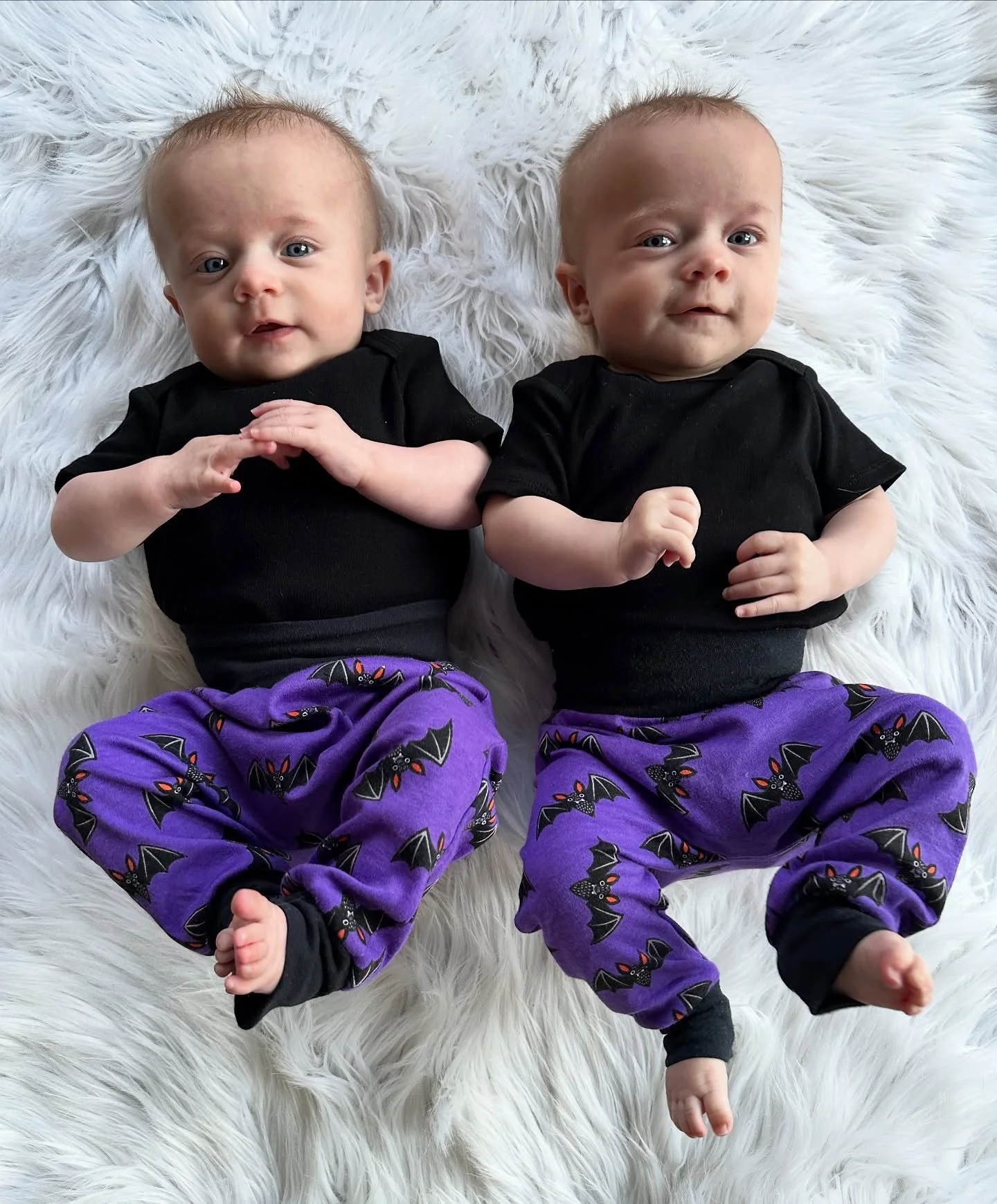 My baby bats think you should fly on over to our website and treat yourself today 🦇💜