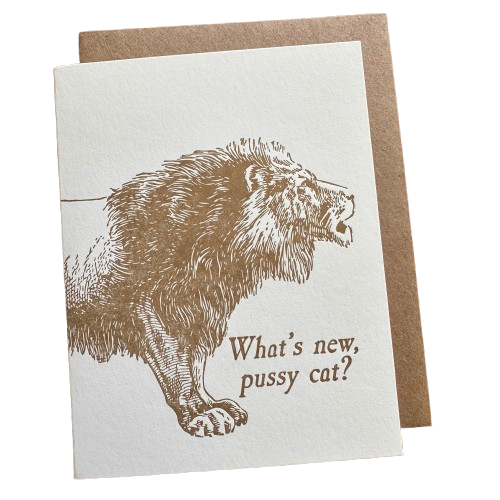 IMG_7493-removebg-preview.png