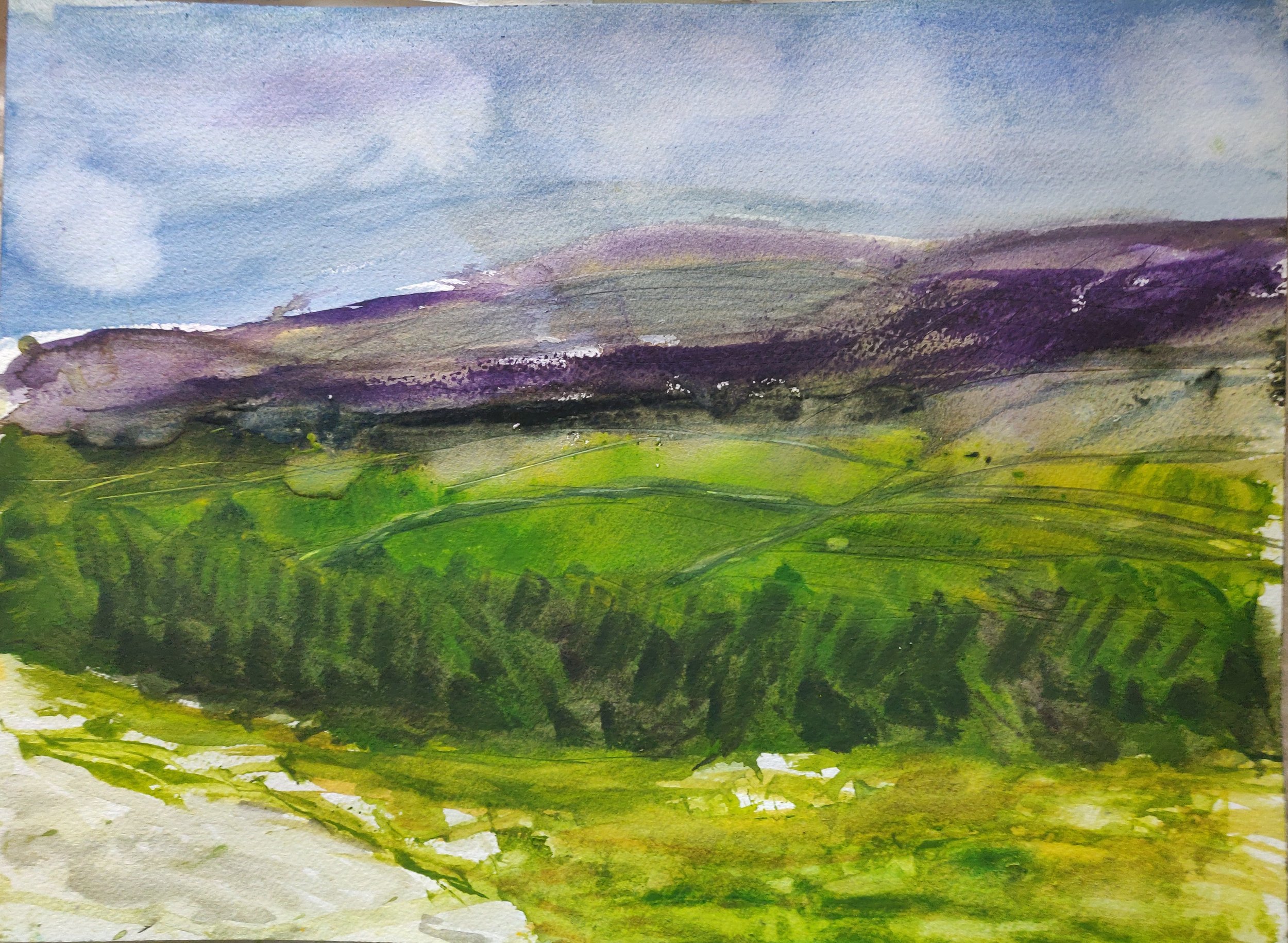 Glacial Park Panorama