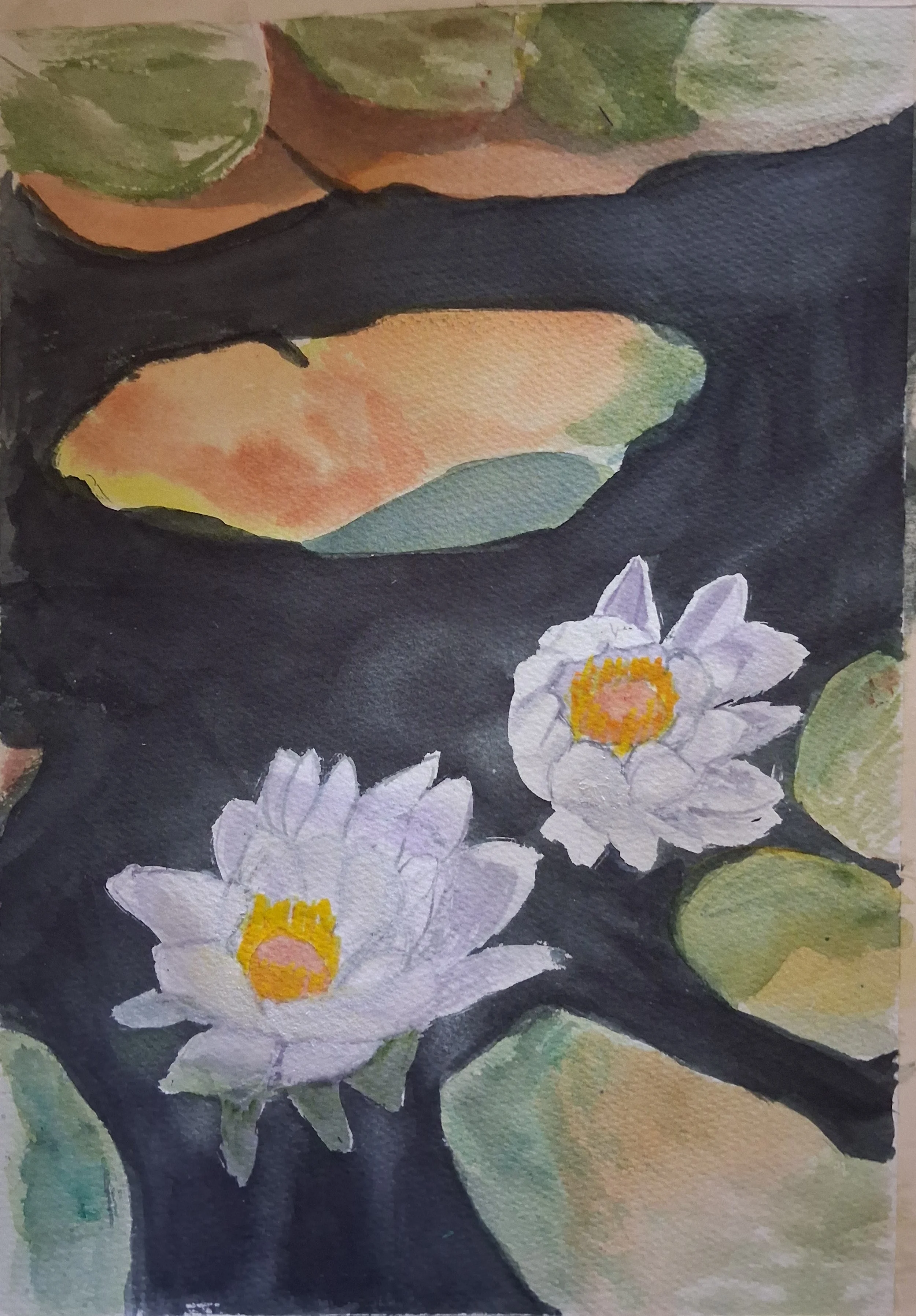  Inspired by the giant waterlillies floating at the edge of Lake Sugema, IA.  medium: watercolor on cold press paper  Dimensions: 18” h x 15” w (unframed)   
