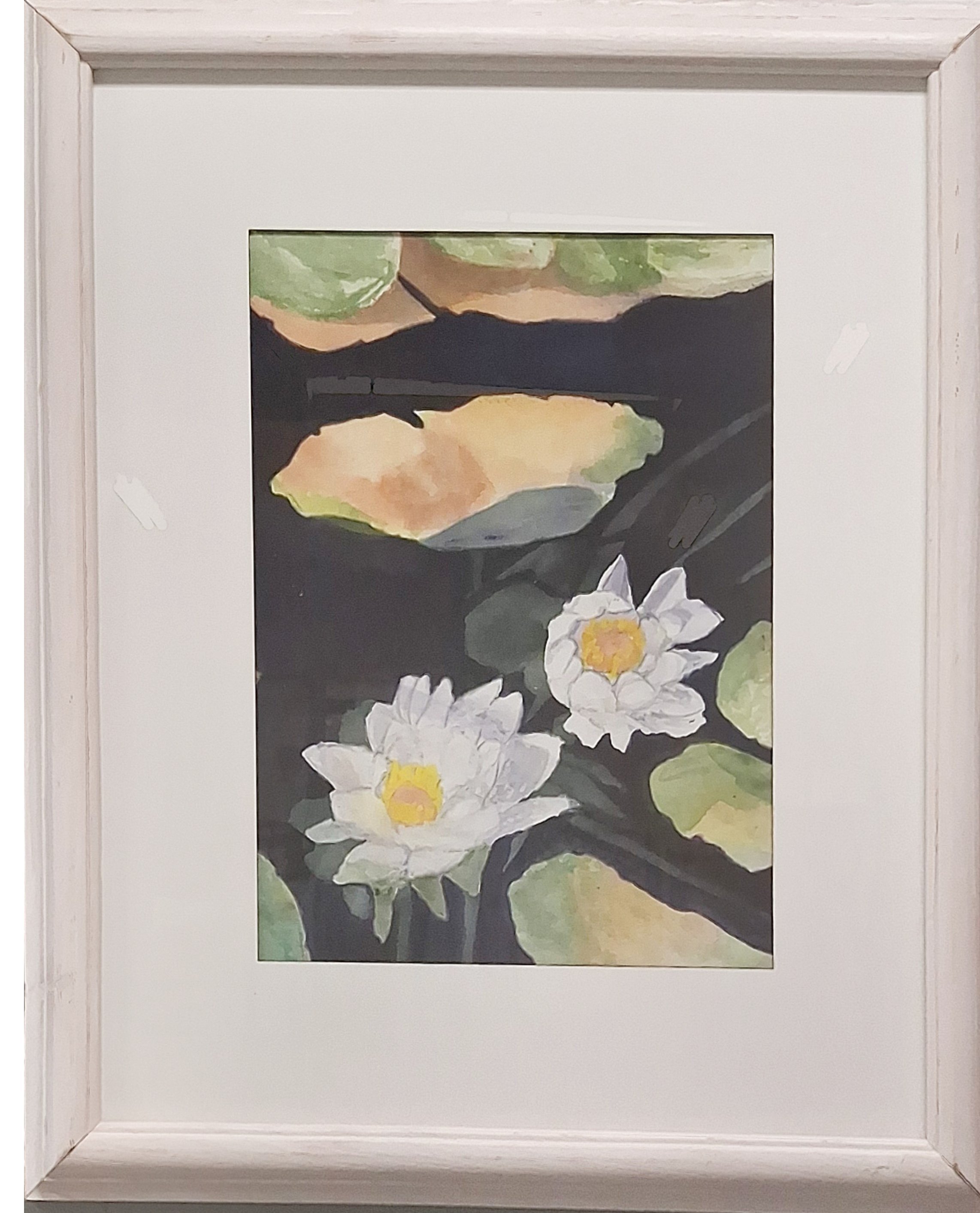 framed_waterlillies_from_iowa.jpg