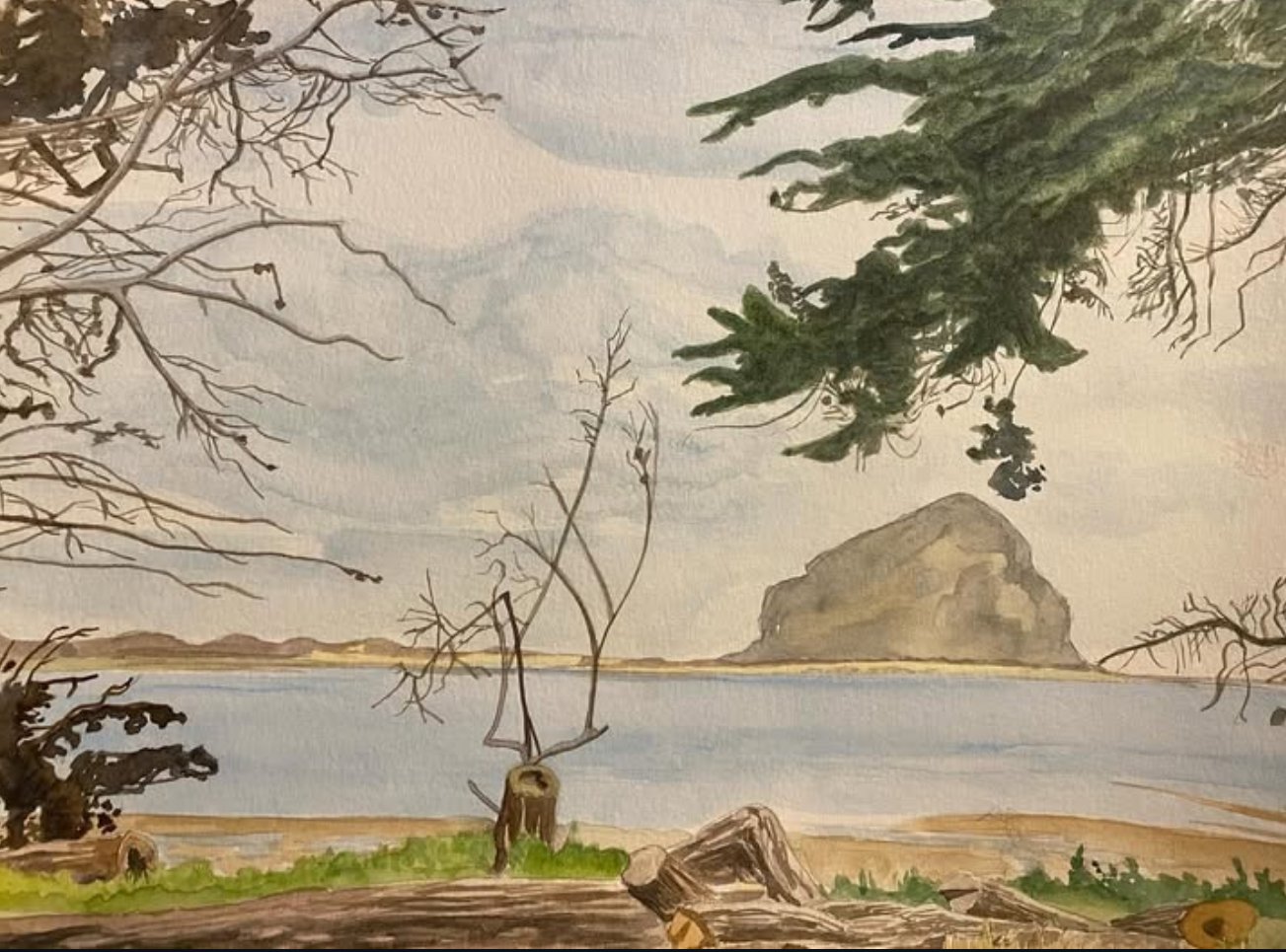 Montana de Oro, 2024