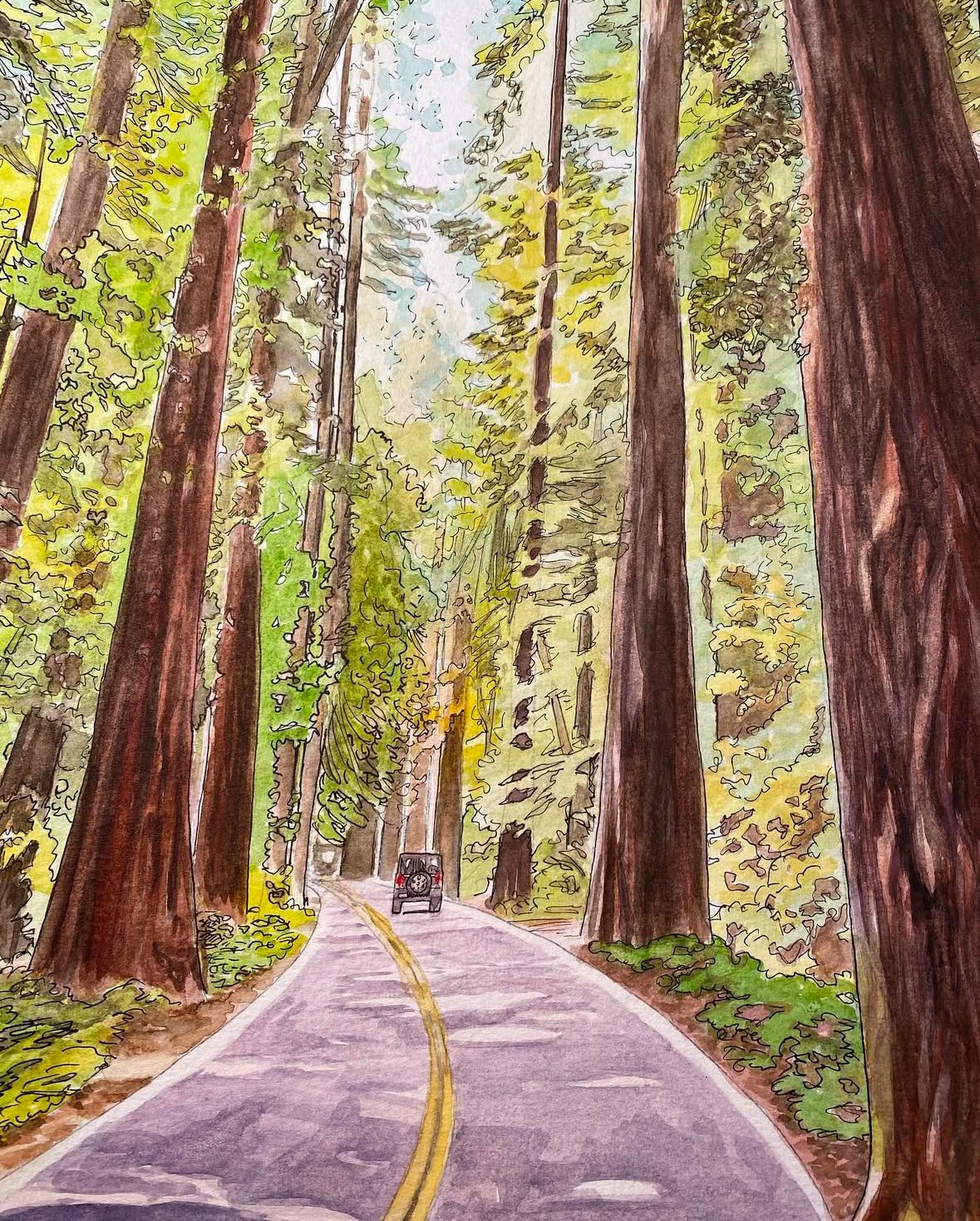 Avenue of the Giants, 2024