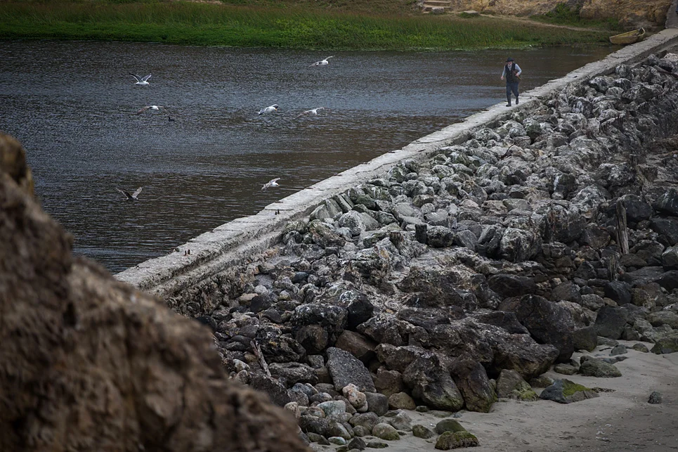 Ondine at Sutro, 2015