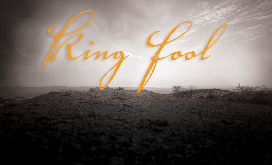 We Players - King Fool - Logo - 950px.jpg