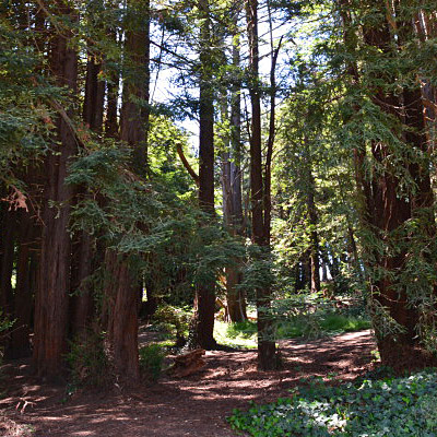  McLaren Park, San Francisco 