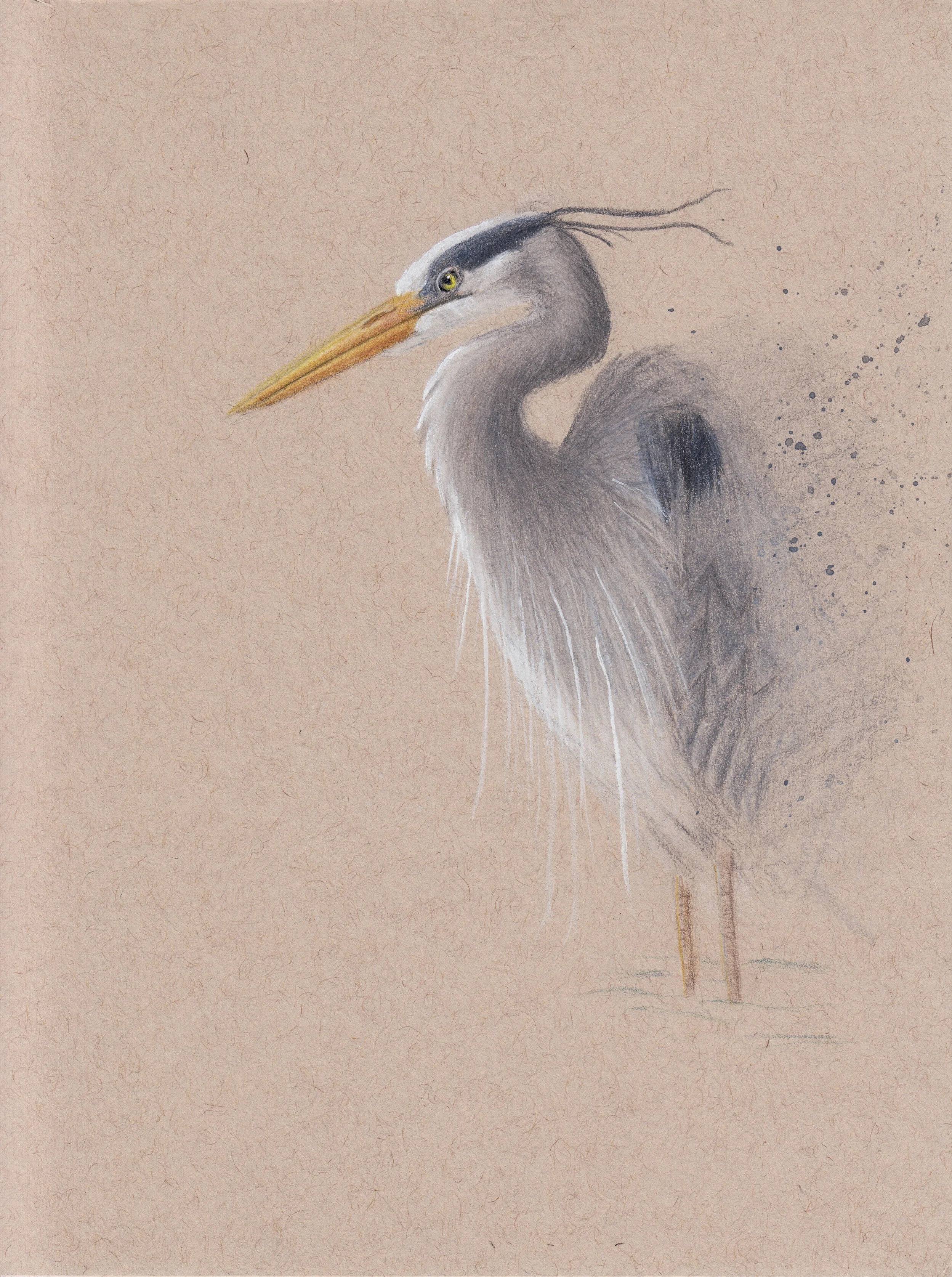 1heron copy.JPG